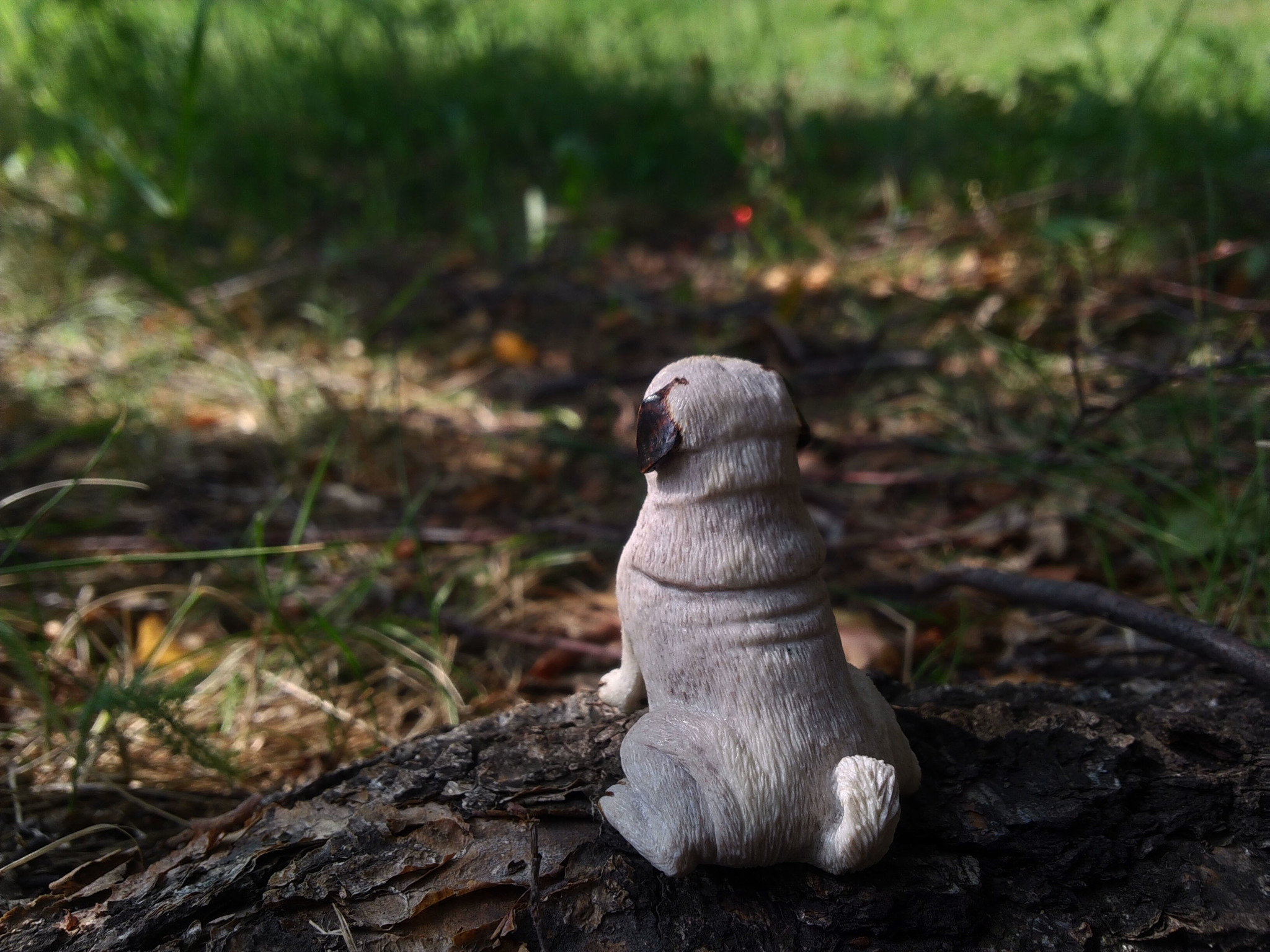Moose horn pug! - My, Bone carving, Pug, Needlework with process, With your own hands, Dog, Handmade, Video, Longpost