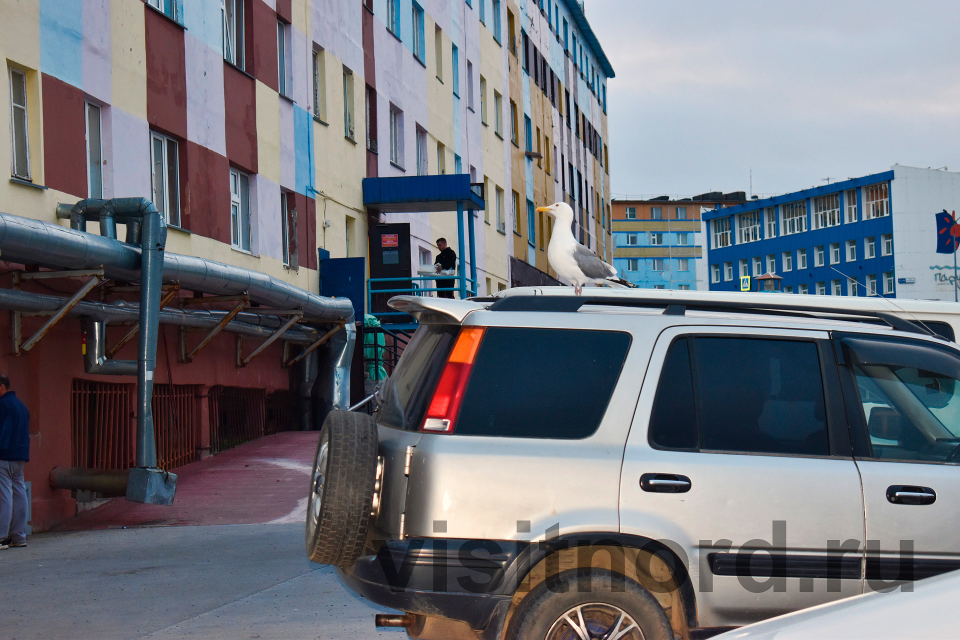 The capital of Chukotka - a walk along Anadyr - My, Chukotka, Anadyr, Russia, Travels, Tourism, Walk, City walk, Report, , Excursion, Longpost, The photo