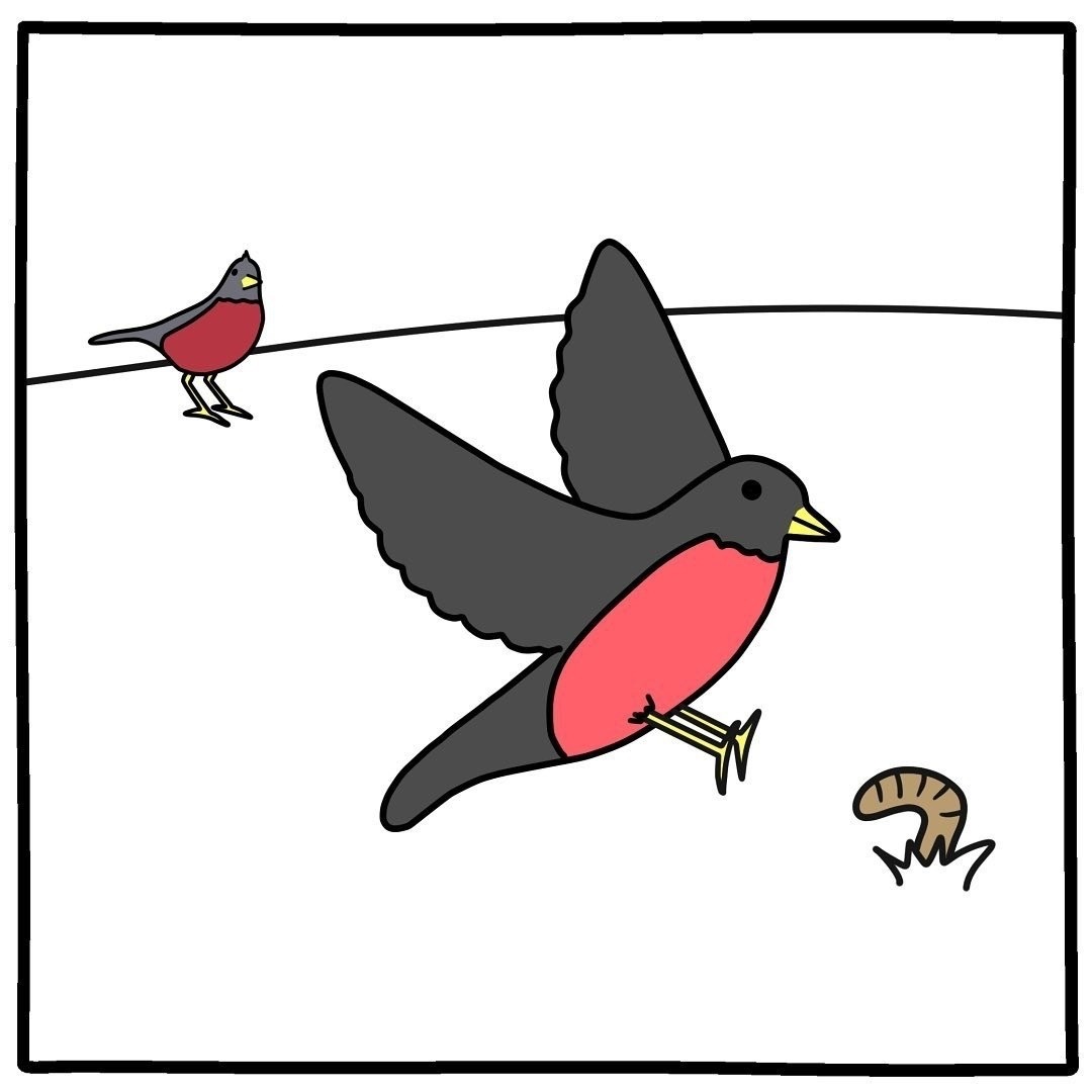 Early bird - Law of the jungle, Birds, Comics, Longpost