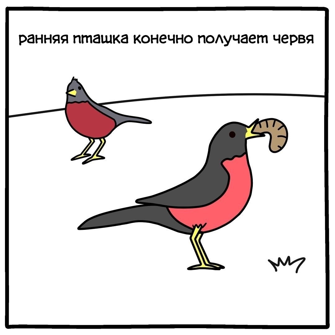 Early bird - Law of the jungle, Birds, Comics, Longpost