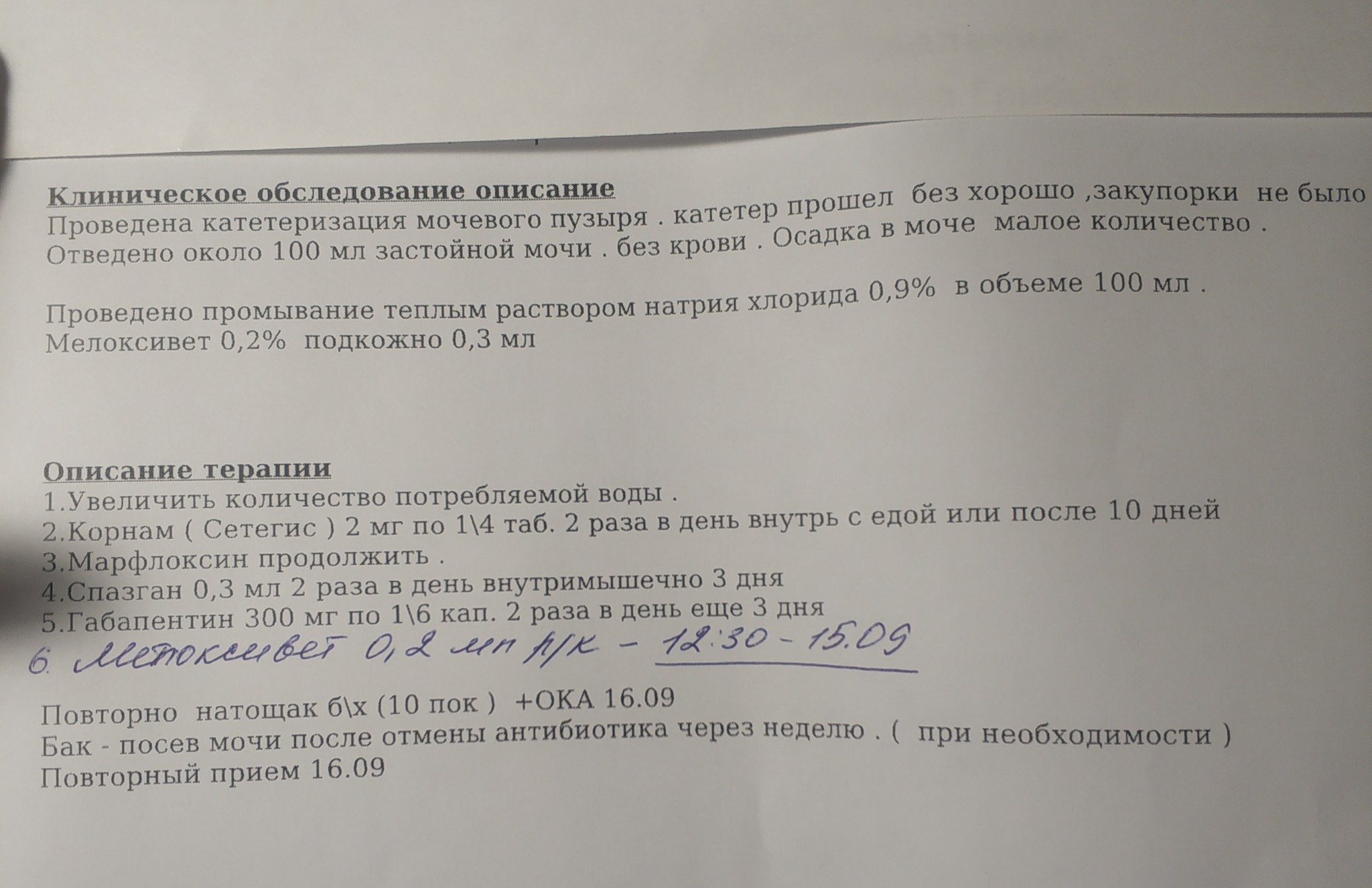 Вопрос к кошководам. Сталкивались ли с идиопатическим циститом у кота? |  Пикабу