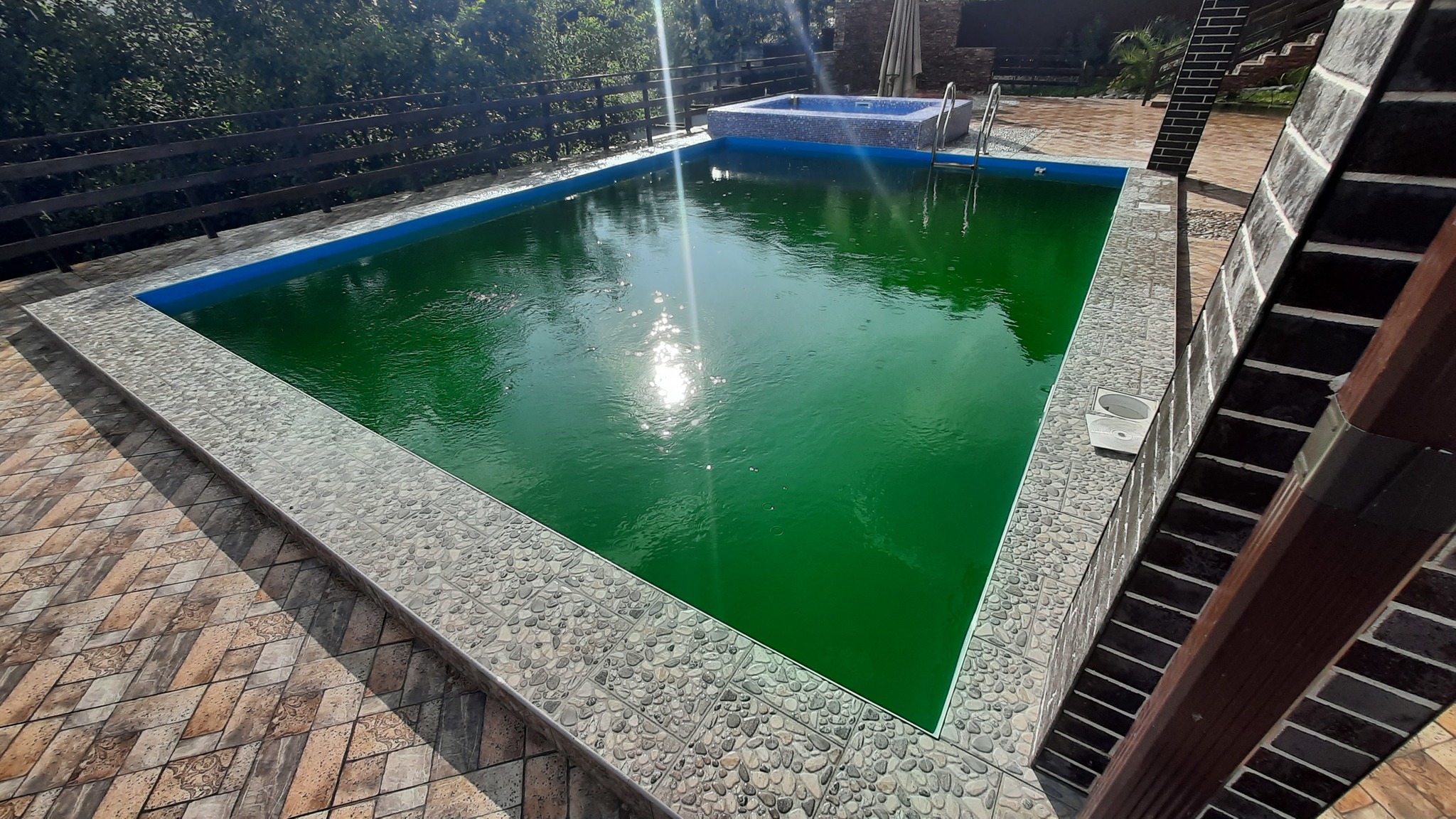 Reply to the post Returning the pool to life - My, Swimming pool, Cleaning, Greenery, Longpost, Reply to post