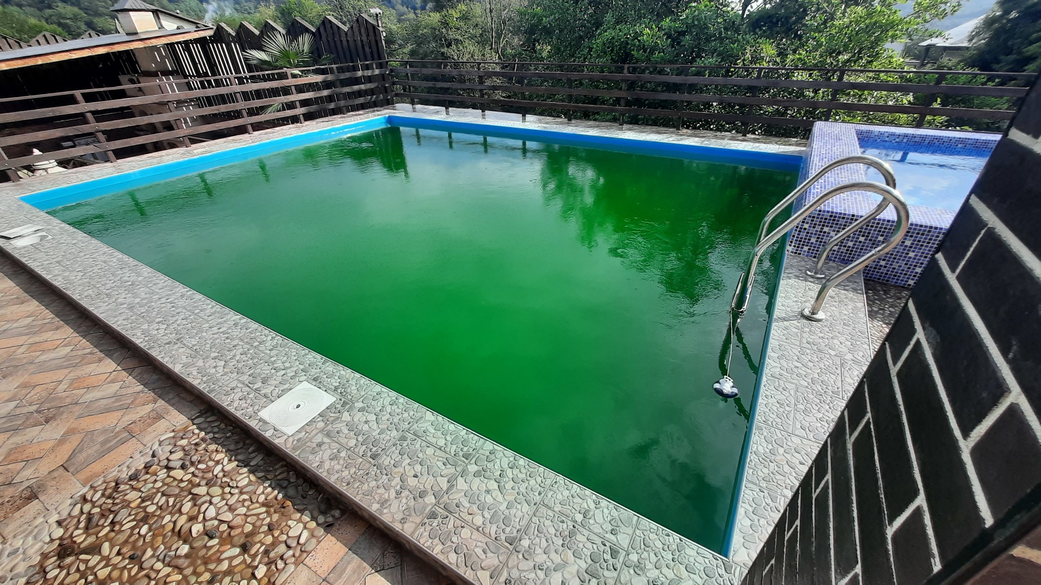 Reply to the post Returning the pool to life - My, Swimming pool, Cleaning, Greenery, Longpost, Reply to post