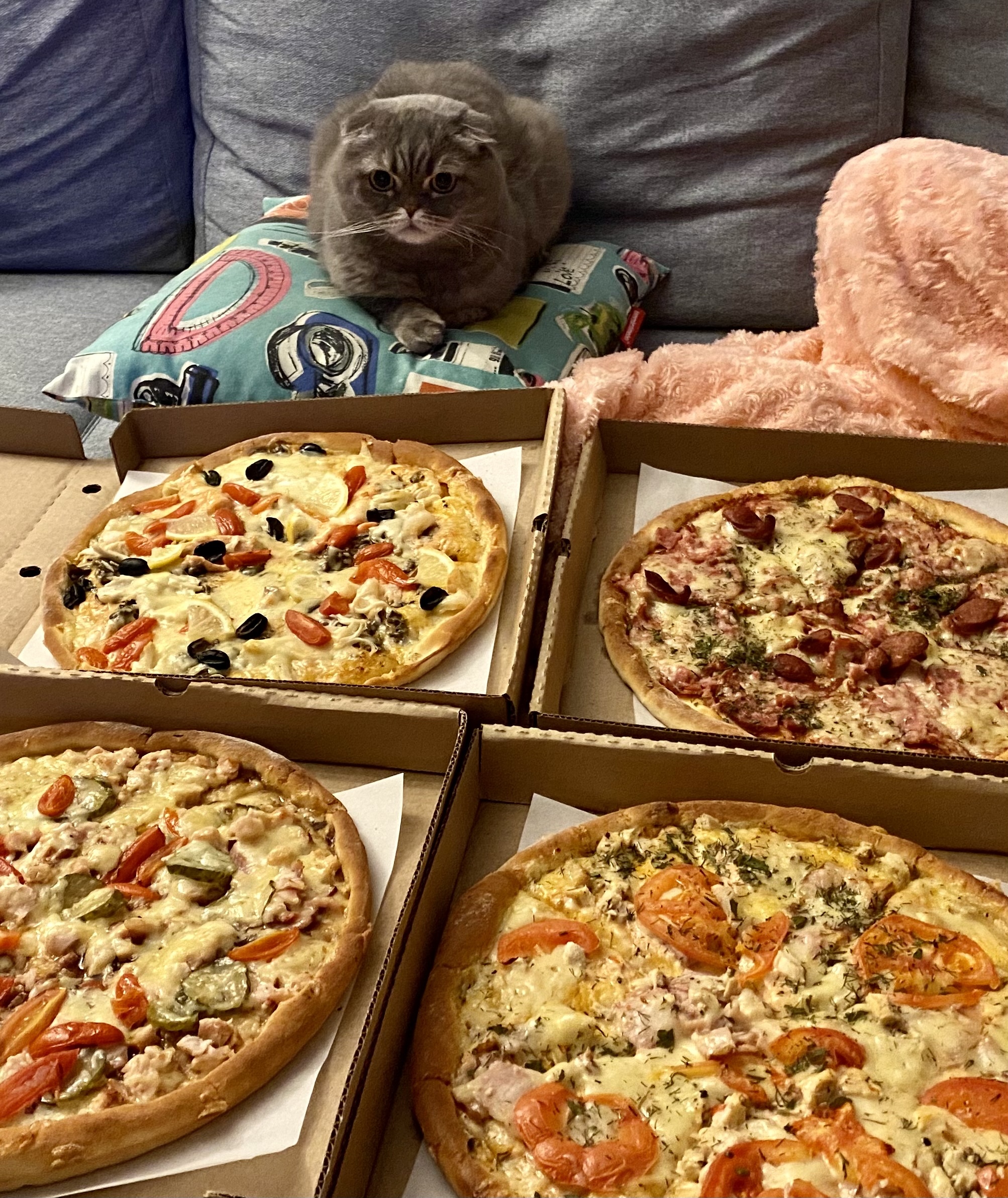 Кот с пиццей картинка
