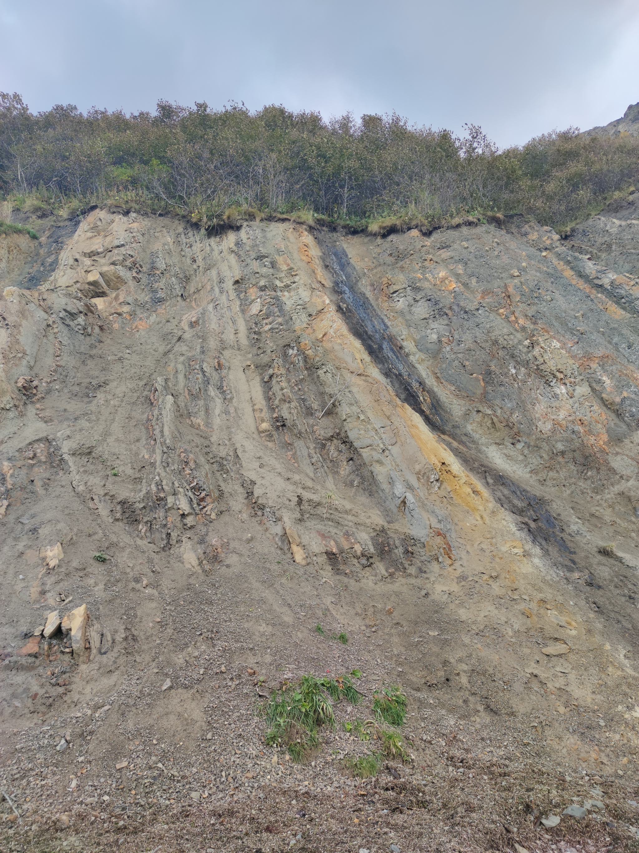 Response to “Photo post: “A little bit of Sakhalin in the feed”” - Sakhalin, The photo, Island, Landscape, Nature, Alexandrovsk-Sakhalinsky, Makarov, Fossils, , Tatar Strait, Longpost