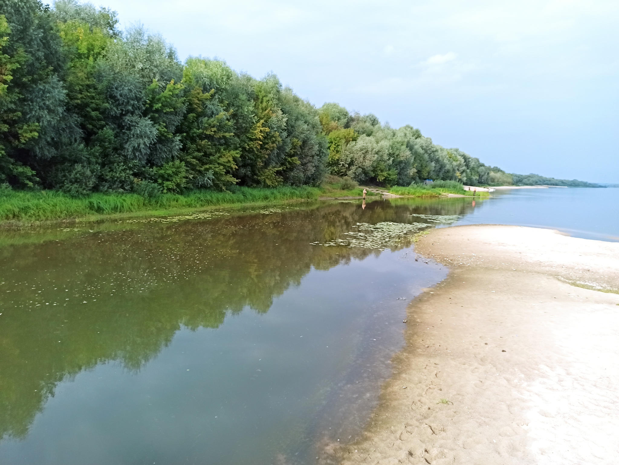 Осень на Оке - Моё, Фотография, Природа, Ока, Длиннопост