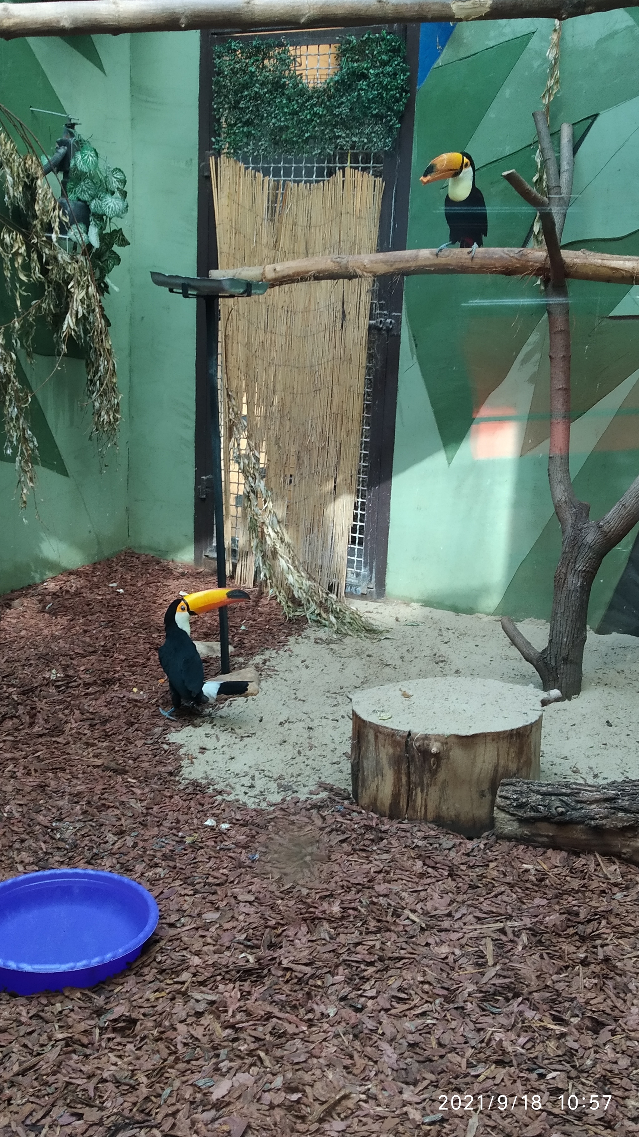 Went to the Moscow Zoo - My, Zoo, Animals, Longpost