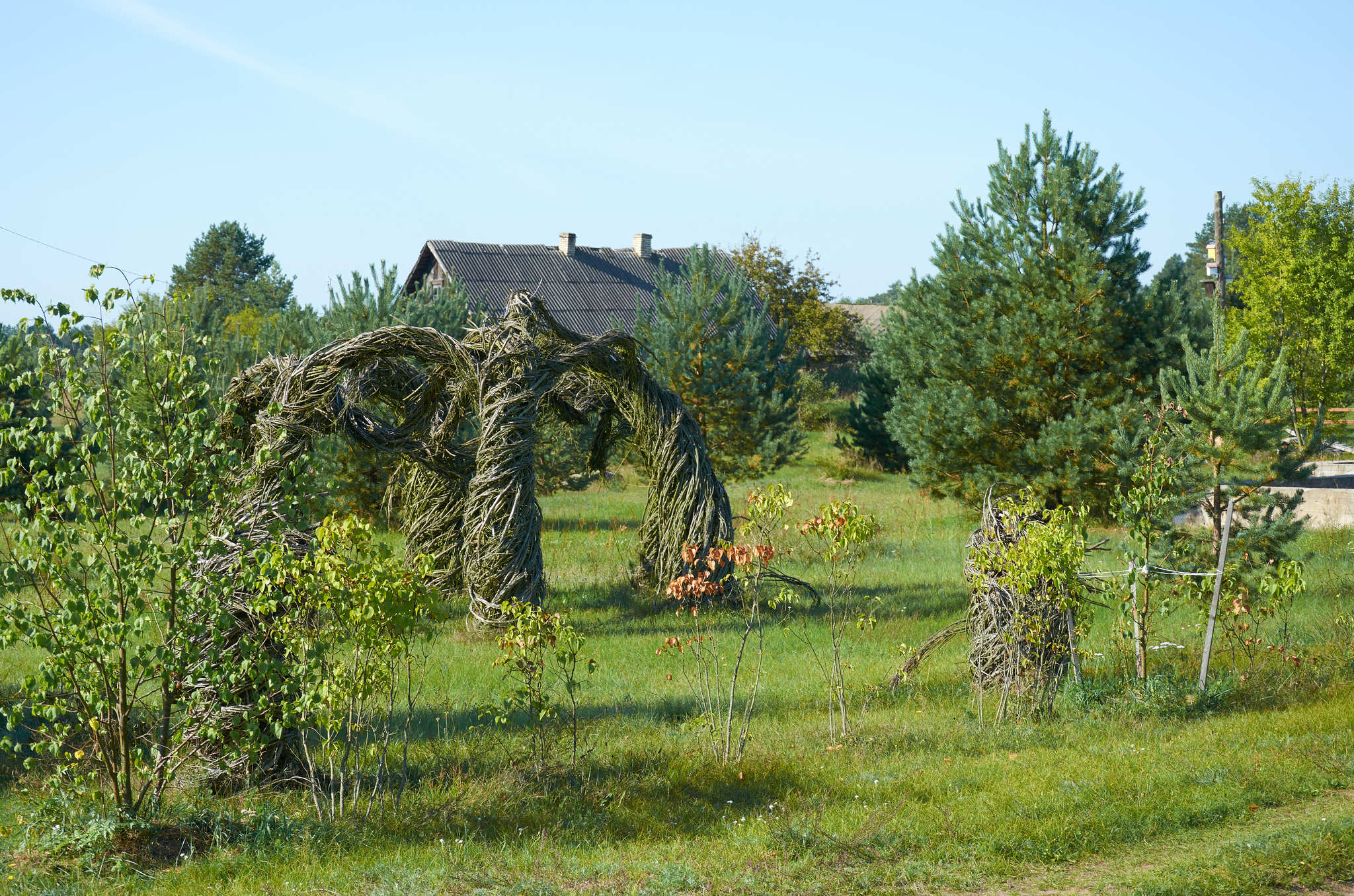 Minsk - Postavy and a few sights along the way - My, Republic of Belarus, Town, Nature, Catholic Church, cat, Lenin monument, sights, Beginning photographer, Longpost