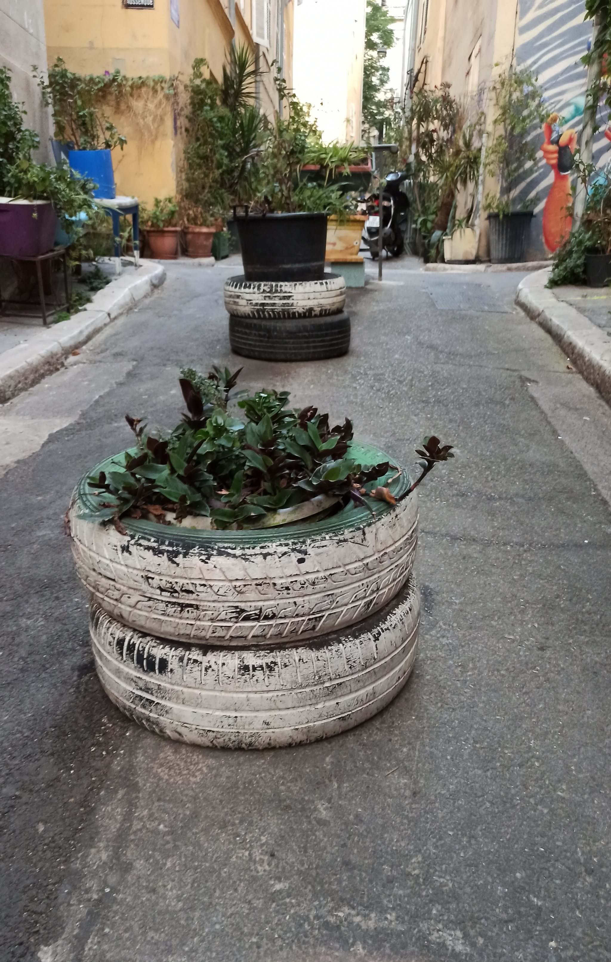 Marseille is also in the subject: beds of tires - My, Tires, Flower bed, Flowers, France, Marseilles, Town, The photo, Плагиат, , Fashion, Style, The street, Creative, Longpost