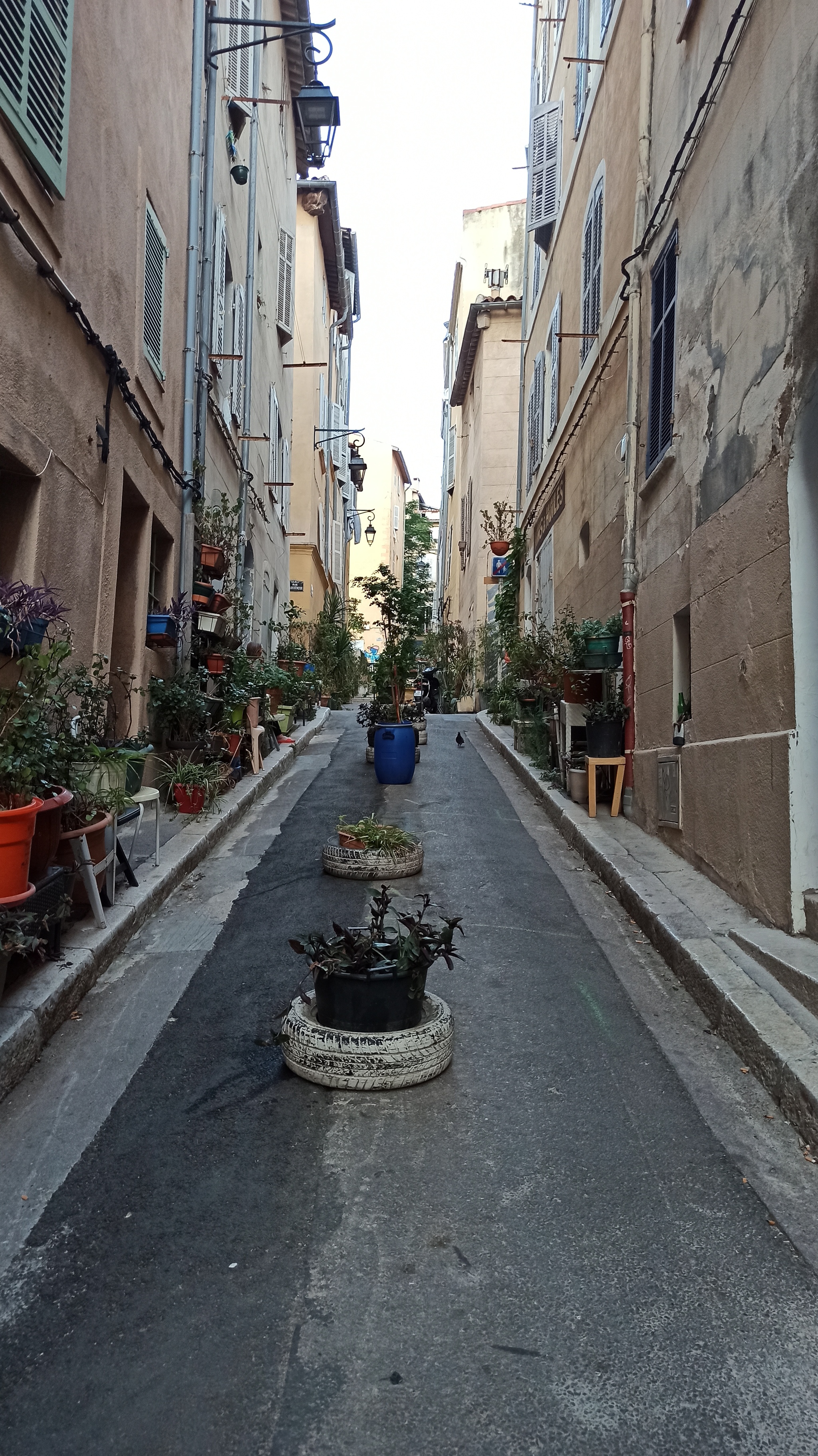 Marseille is also in the subject: beds of tires - My, Tires, Flower bed, Flowers, France, Marseilles, Town, The photo, Плагиат, , Fashion, Style, The street, Creative, Longpost