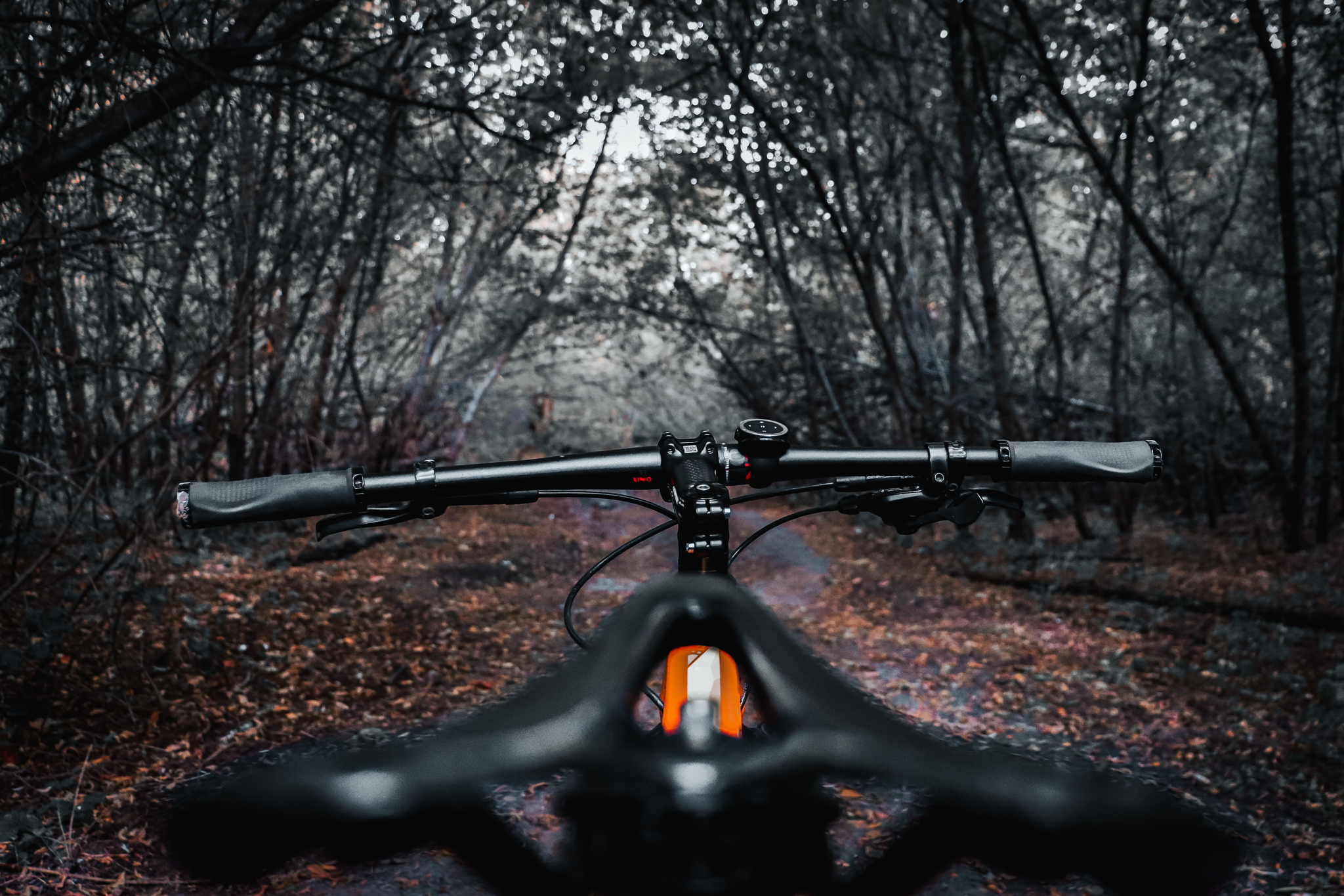 Gloomy - My, A bike, The photo, Autumn