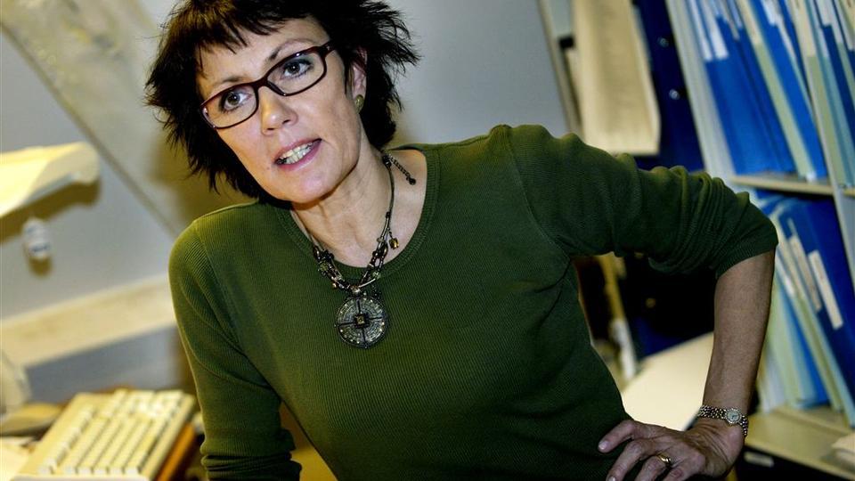 Political Porn: Louise Frevert - Democracy in Danish - My, Porn Actors and Porn Actresses, Porn, Scandals, intrigues, investigations, Biography, Actors and actresses, Interesting, Mat, Longpost, Politics