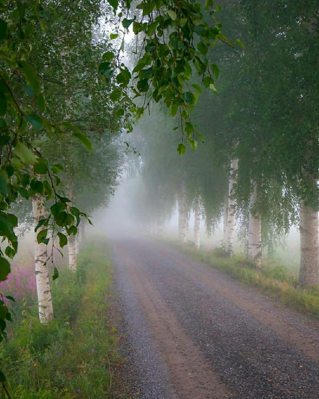 Leaving summer - The photo, Summer, Village, Longpost