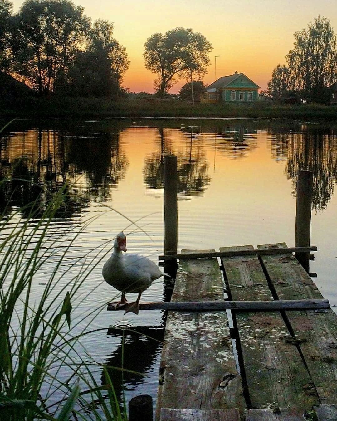 Leaving summer - The photo, Summer, Village, Longpost