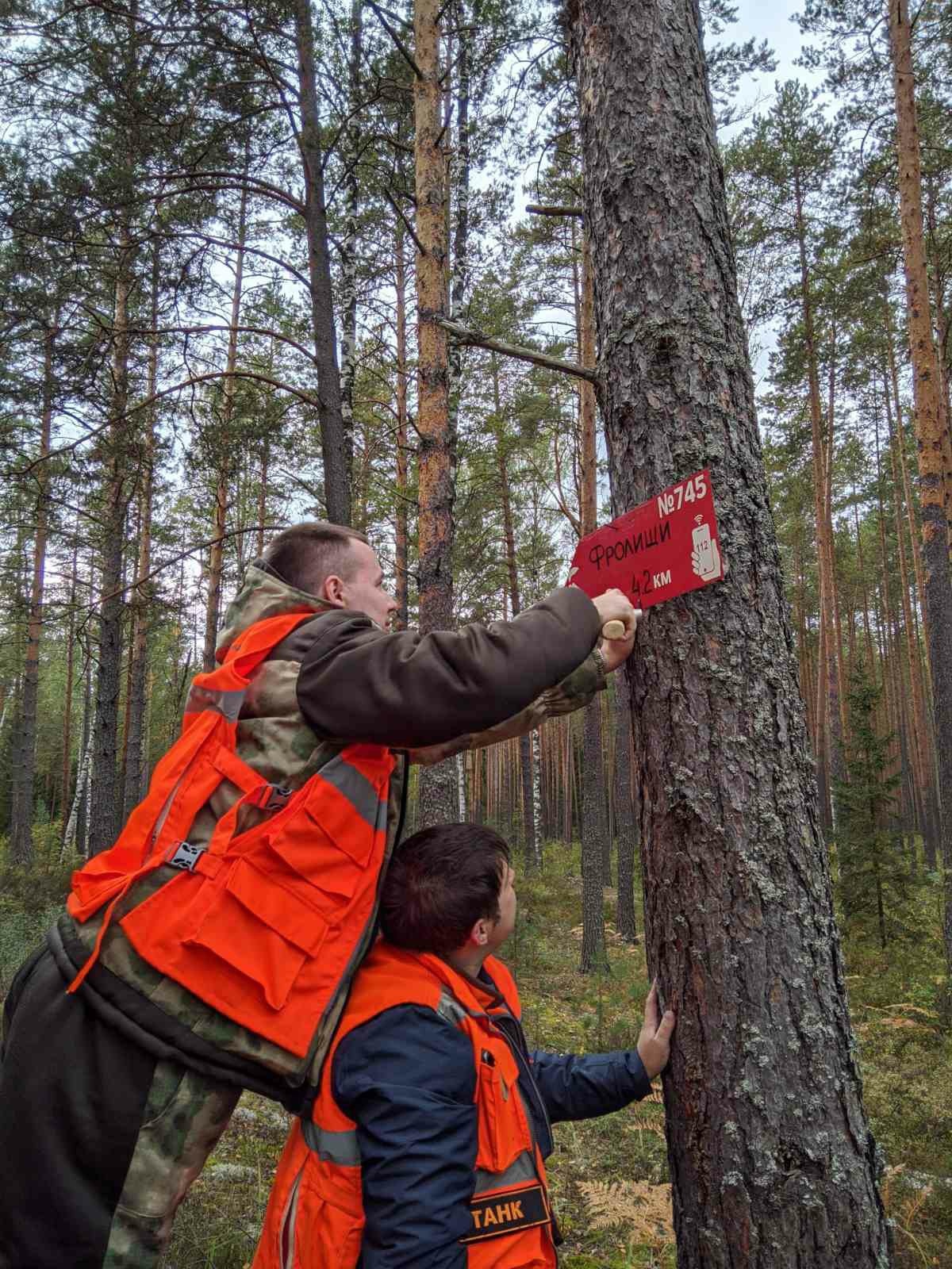 Our shooters continue to help those lost in the forest! Even before installation))) (Volunteer about the search) - My, Missing person, People search, Search squad, Forest, Mushrooms, Longpost