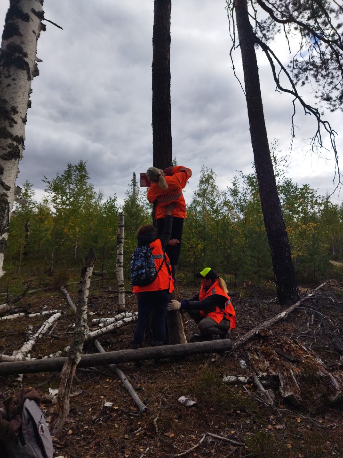 Our shooters continue to help those lost in the forest! Even before installation))) (Volunteer about the search) - My, Missing person, People search, Search squad, Forest, Mushrooms, Longpost