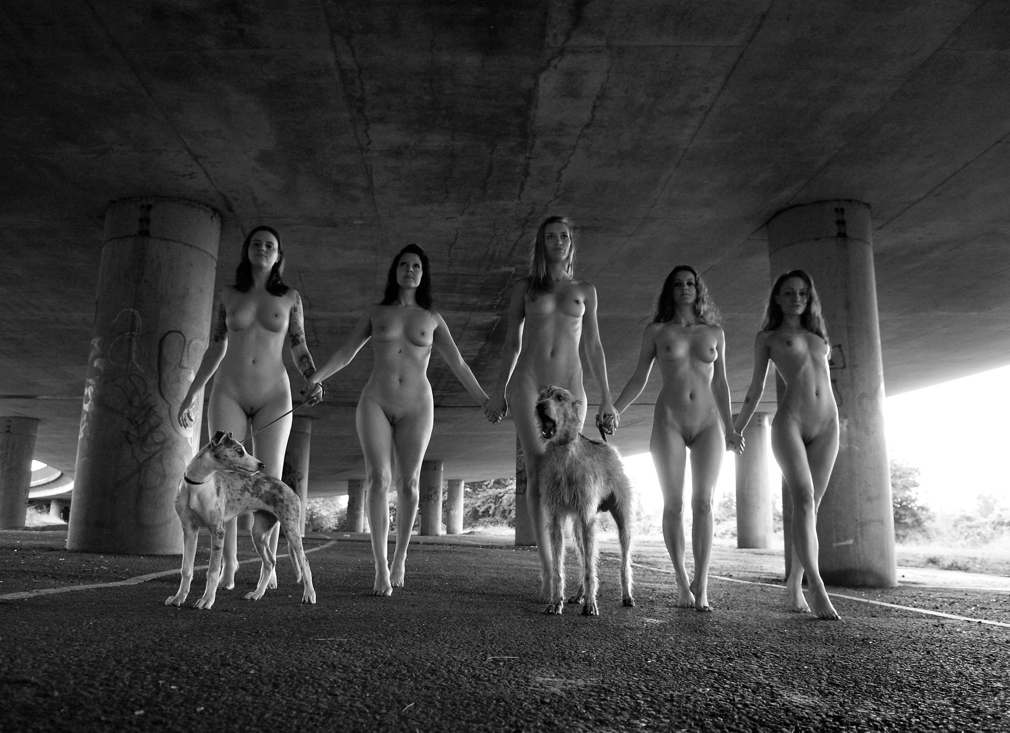 On a walk - NSFW, Erotic, Girls, Boobs, Dog, Black and white photo