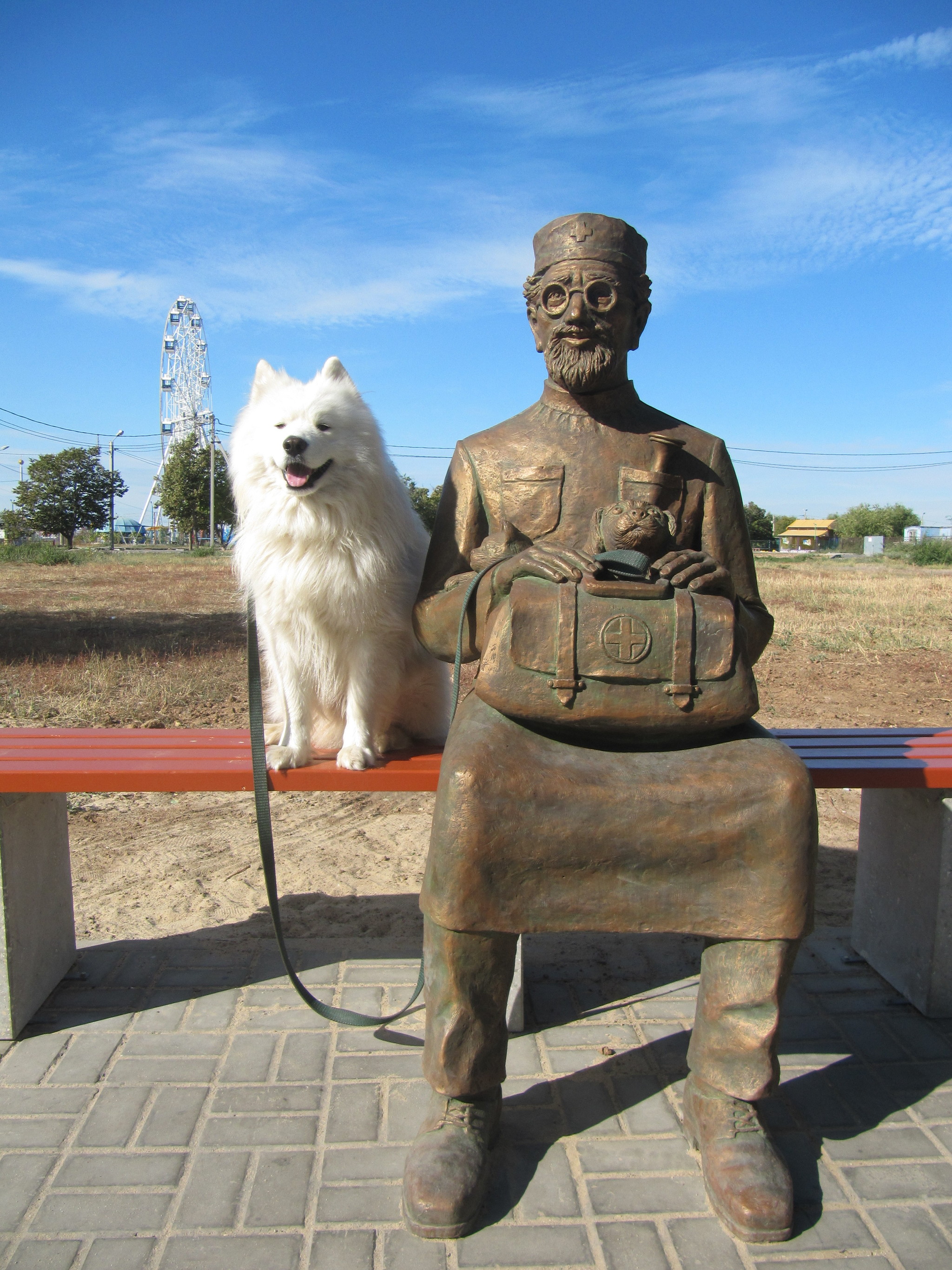 Kind Doctor Aibolit sits on a bench - My, Samoyed, Dog, Volzhsky, Dog North