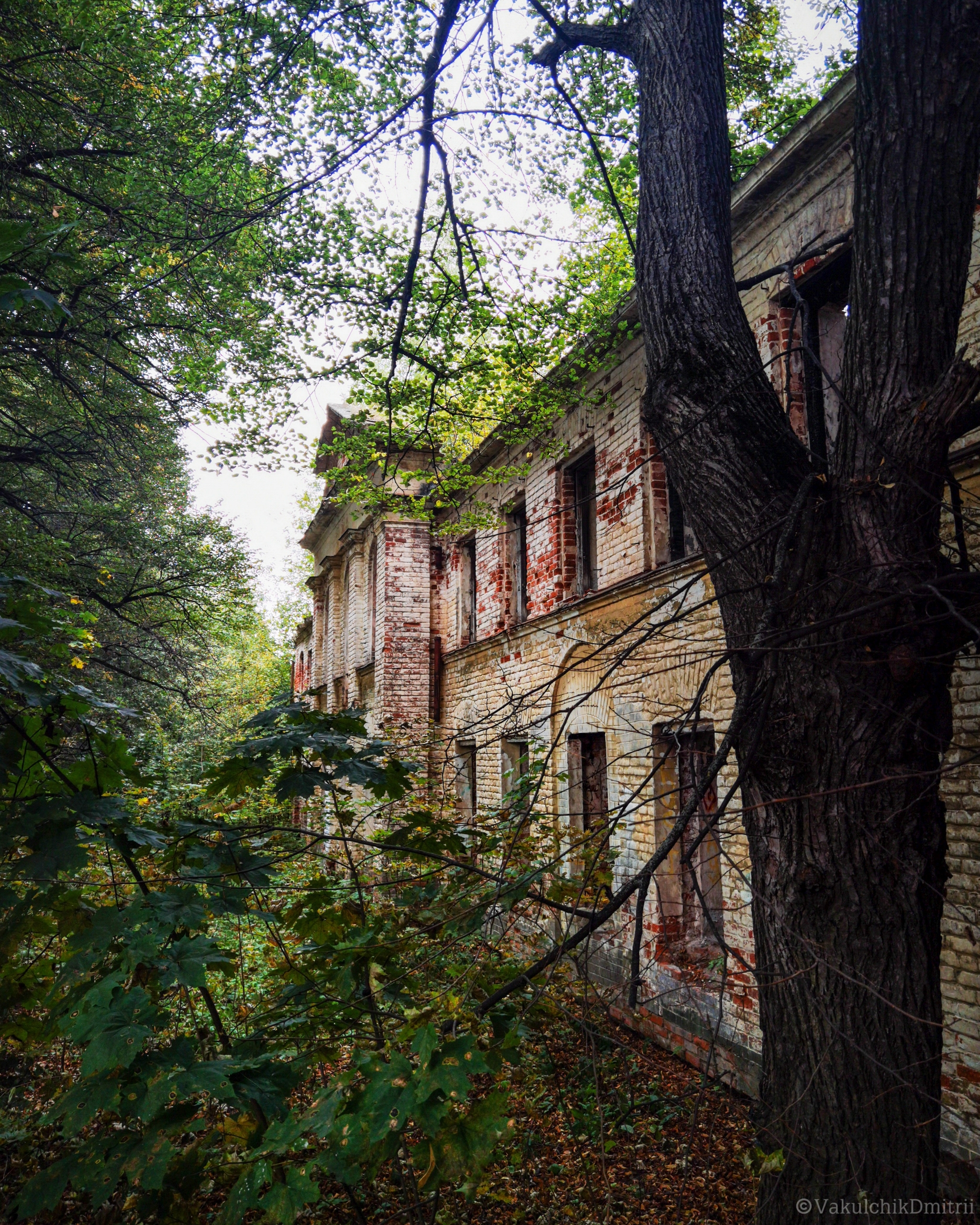 Abandoned manor in the village. Islavskoye. Moscow region, Odintsovo city district - My, Mobile photography, The photo, Moscow region, Odintsovo, Architecture, Building, Abandoned, Manor, , Autumn