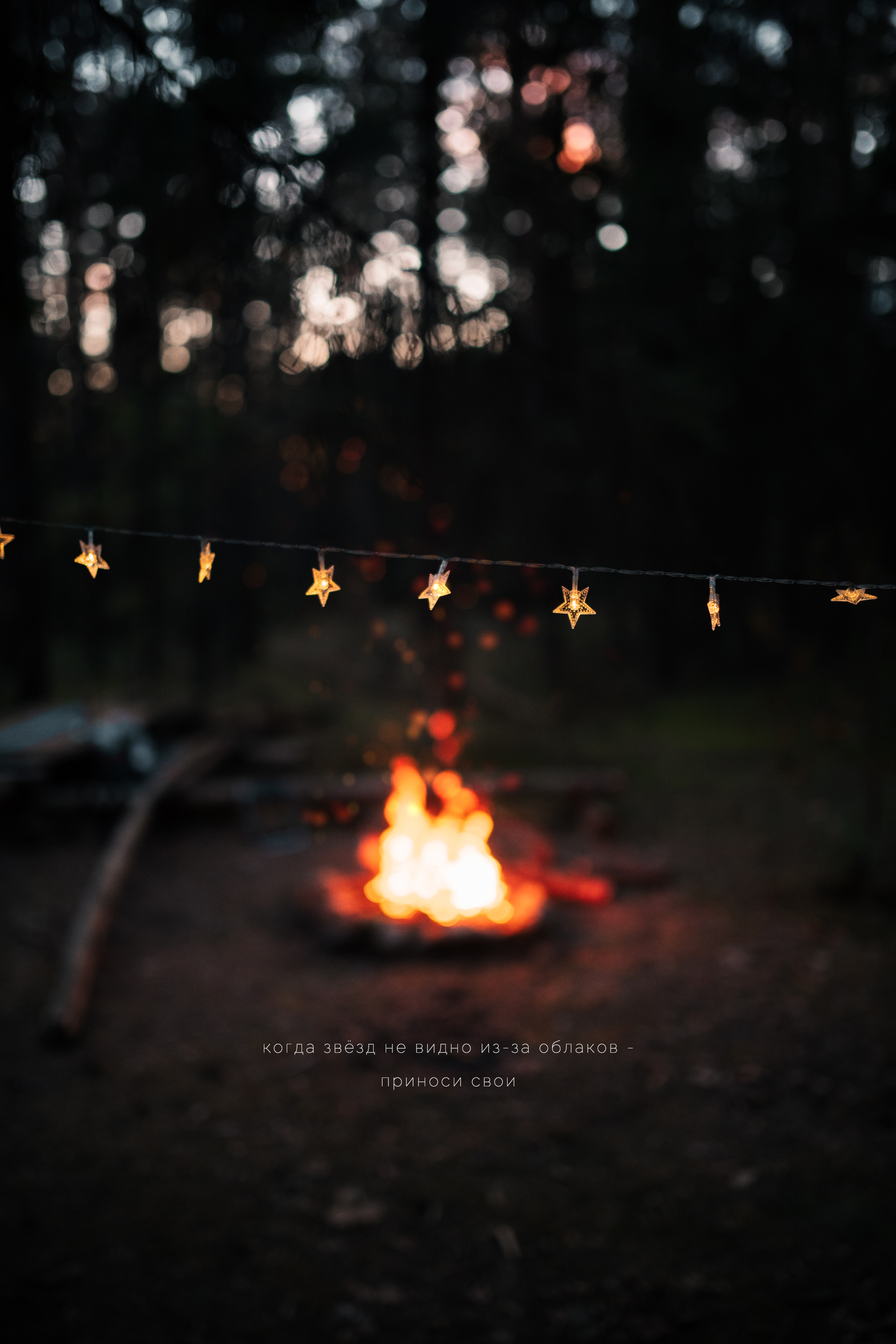 pocket stars - My, Autumn, Cosiness, Atmosphere, Fire, Bonfire, Coffee, Forest, September, , The photo, Nikon, Thoughts, Nature, Tourism, Hike, Longpost