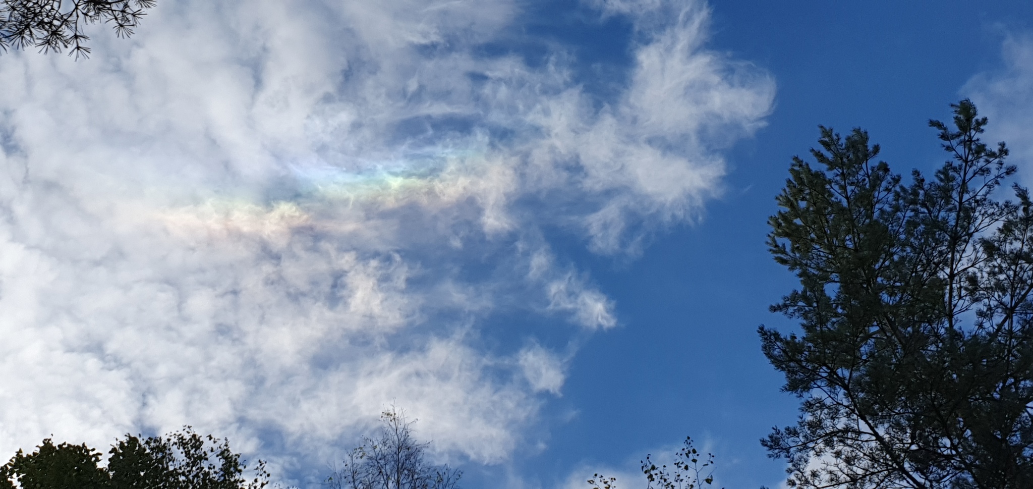 iridescent cloud - My, Rainbow, Clouds, Video