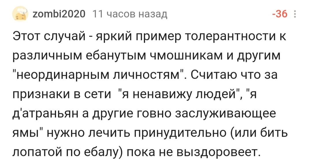 Three Signs of a Potential Mass Killer or Mother Peekaboo Paranoia - Trash, Pick-up headphones, Absurd, Opinion, Negative, Comments on Peekaboo, Screenshot, Longpost