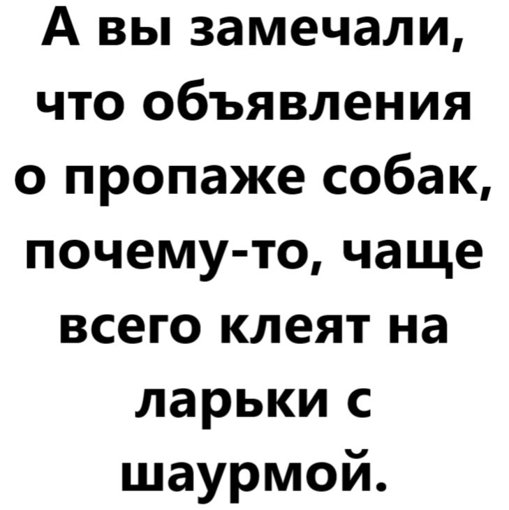 Объявления о пропаже собак | Пикабу