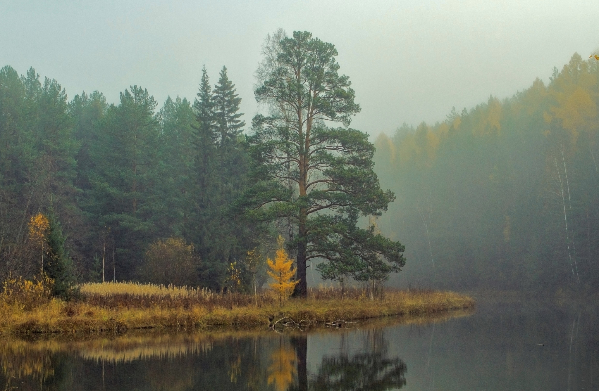 Autumn photo - My, Russia, Ural, Nature, Landscape, Autumn, River, Haze, Fog