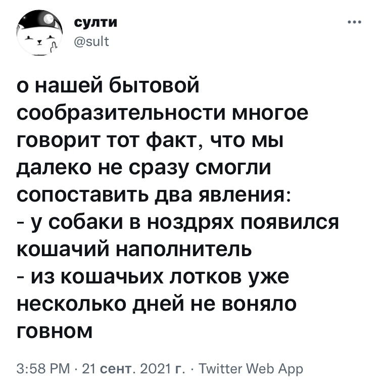 Взаимосвязь - Юмор, Скриншот, Twitter, Коты и собаки вместе, Наполнитель