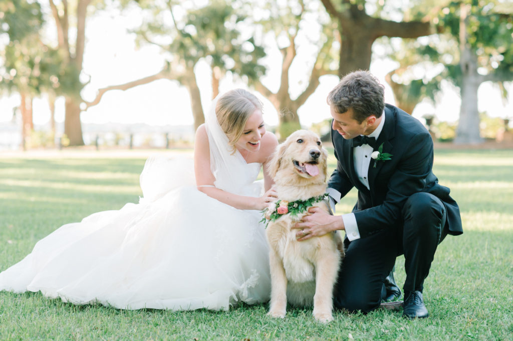 Мужчина собака в браке. Свадьба собаки и человека. Собака в свадебном платье. США браки с животными. Женитьба человека и животного.