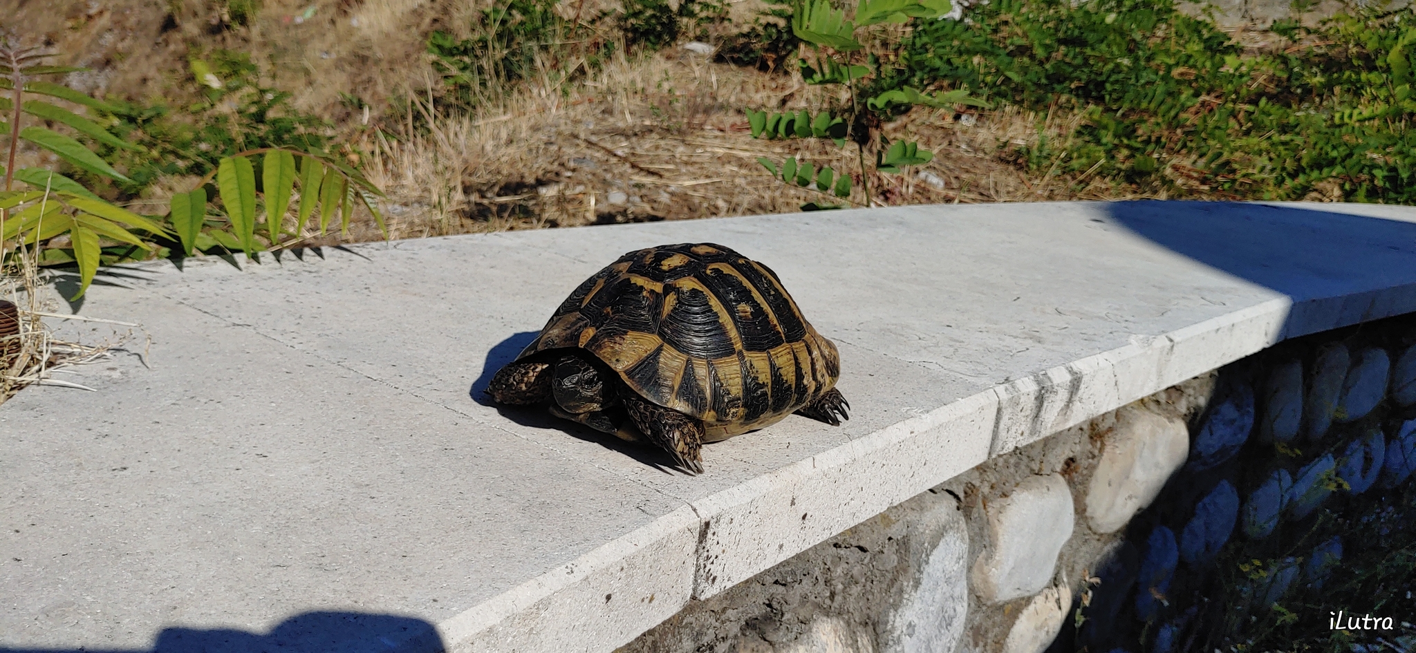 Montenegro. - My, Montenegro, Podgorica, Serpentine, Travels, Budget travel, Tourism, Hiking, Relaxation, , Church, Food, Solo travel, Longpost, Russian tourists, Tourist places, The photo