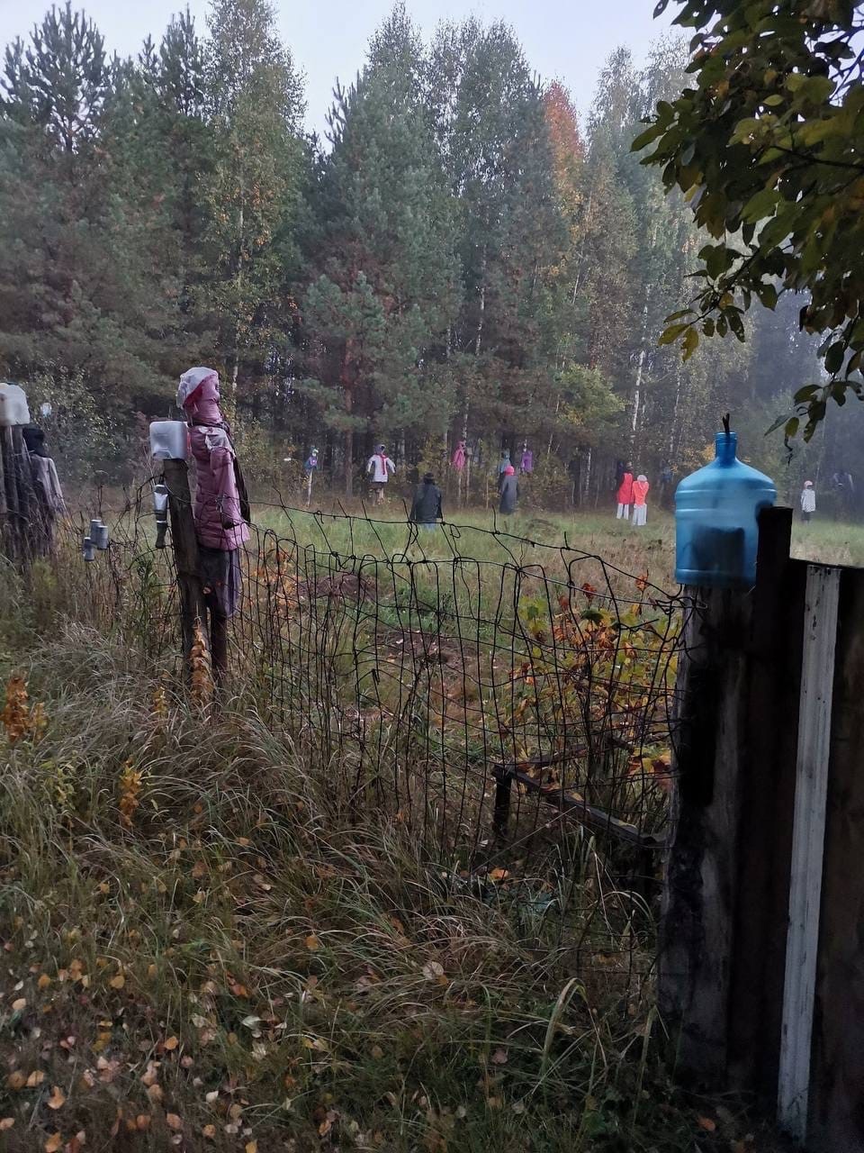 Искали грибы, нашли это... - Грибы, Грибники, Странности, Находка, Страшно, Лес, Россия, Деревня, Длиннопост, , Крипота