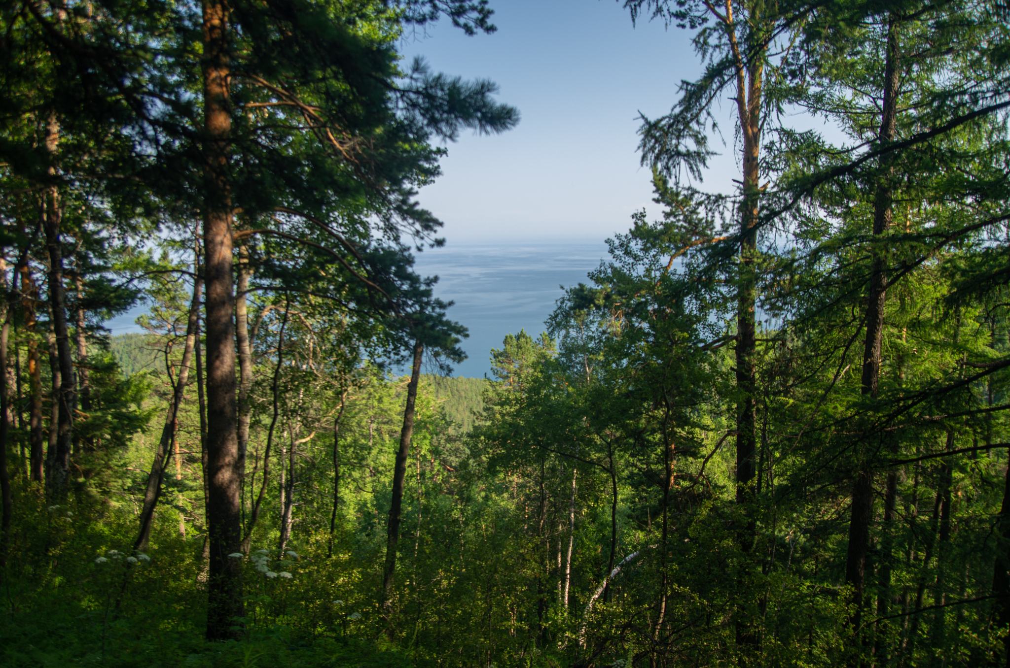 About rest on Baikal. - My, Relaxation, Leisure, The photo, Baikal, Great Baikal Trail, CBWC, Tourism, Longpost