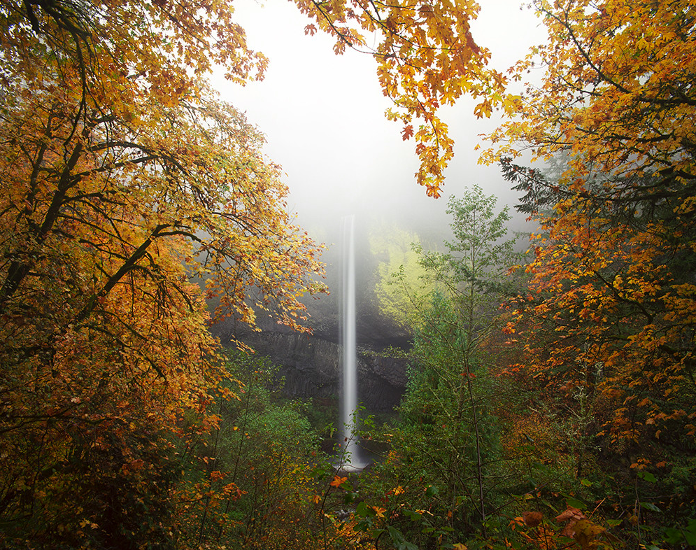 Autumn in 6x7 format - The photo, Film, Medium format, Landscape, Autumn, Longpost