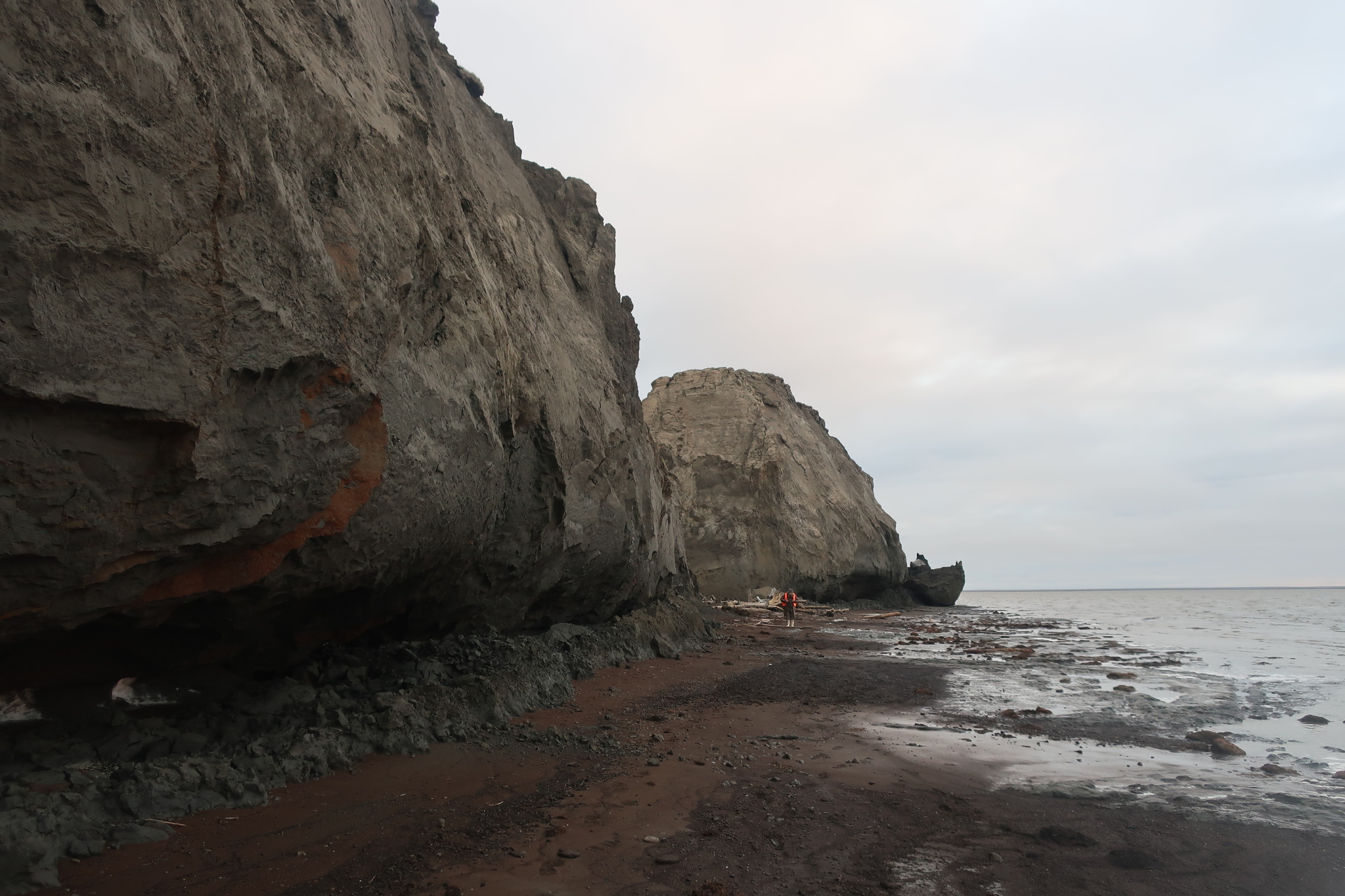 Kolyma notes, Part III Bear Islands (First half) - My, Kolyma, Sea, Arctic, Archeology, Travels, Polar bear, Гусь, Video, Longpost, East Siberian Sea