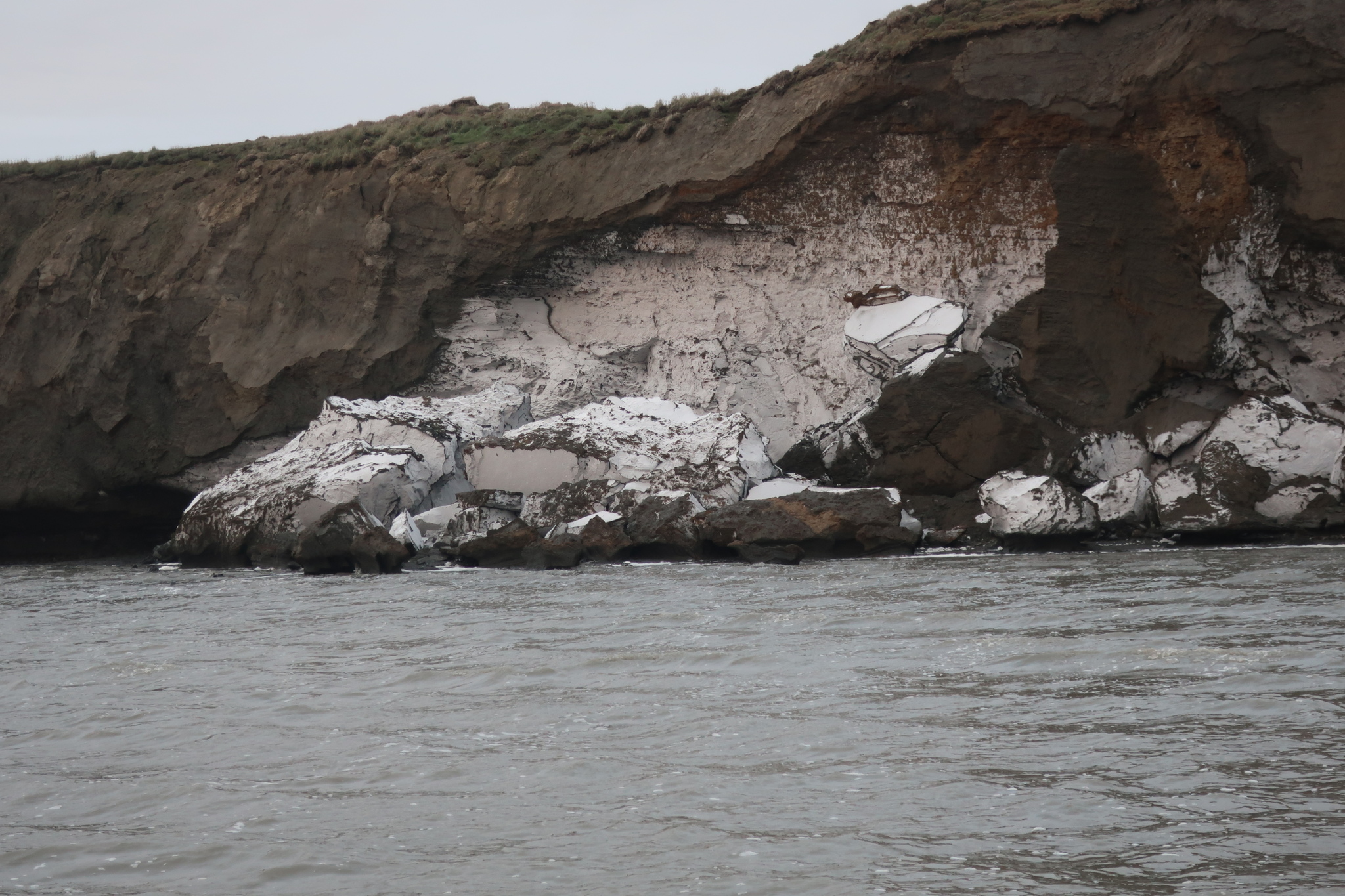 Kolyma notes, Part III Bear Islands (First half) - My, Kolyma, Sea, Arctic, Archeology, Travels, Polar bear, Гусь, Video, Longpost, East Siberian Sea