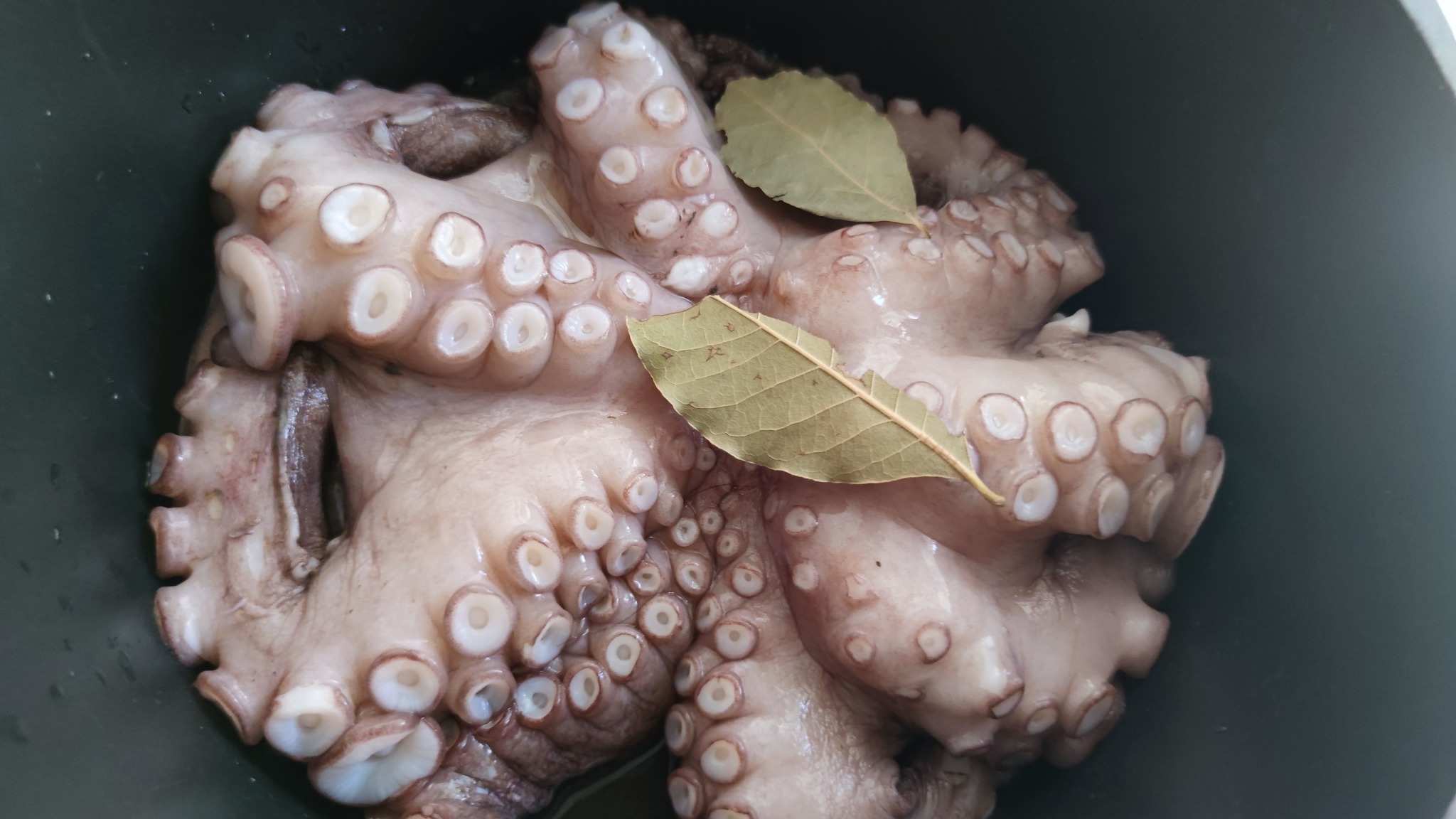 How to cook octopus? - My, Food, Recipe, Seafood, Kitchen, Octopus, Longpost