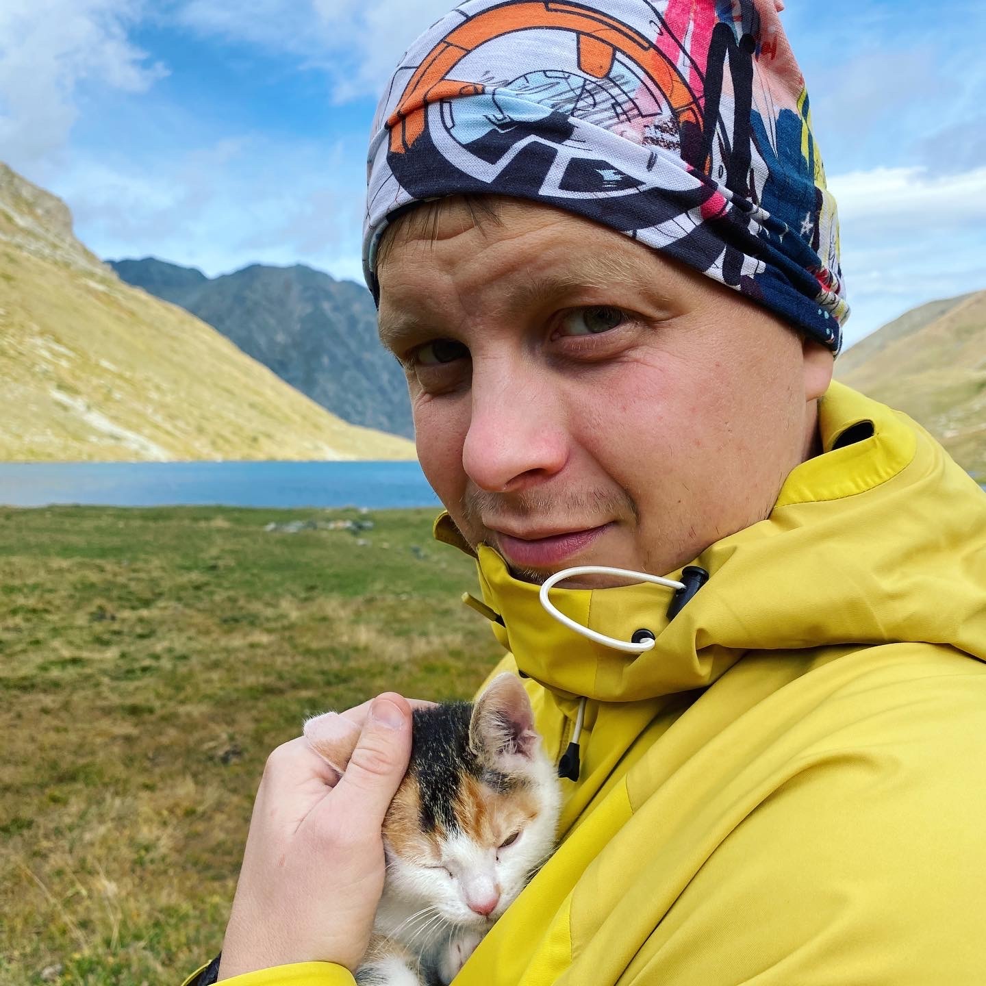 Leia is a tourist - My, Tricolor cat, Mountain tourism, Pets, Longpost, cat