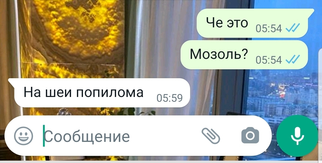 Попилома | Пикабу