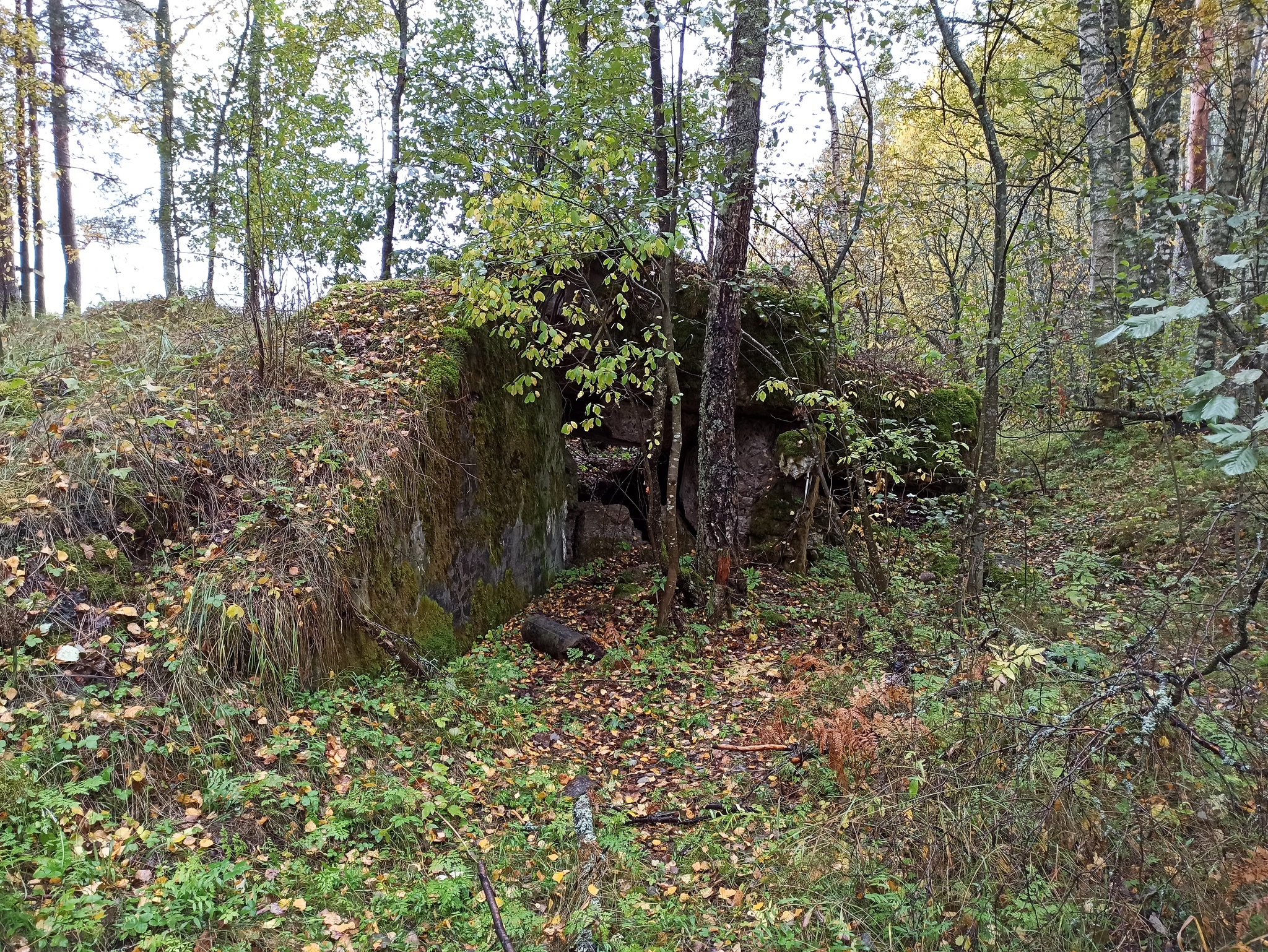 Malkel fortified area of ??the Mannerheim line - My, Karelian Isthmus, Mannerheim Line, Dog, Pillbox, Longpost