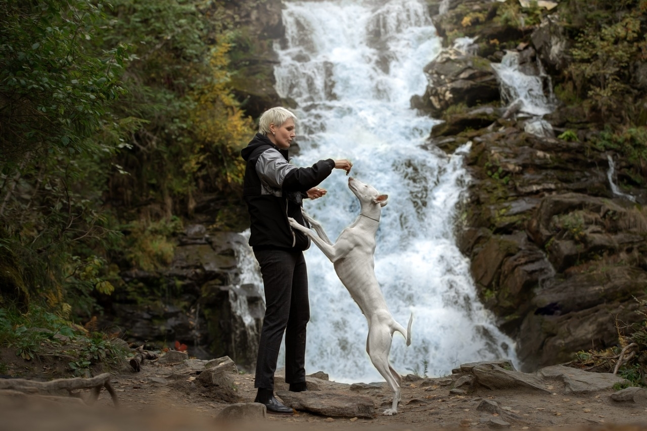 Barbara in Karelia. - My, Dog days, Podenko Ibitsenko, Dog, Longpost