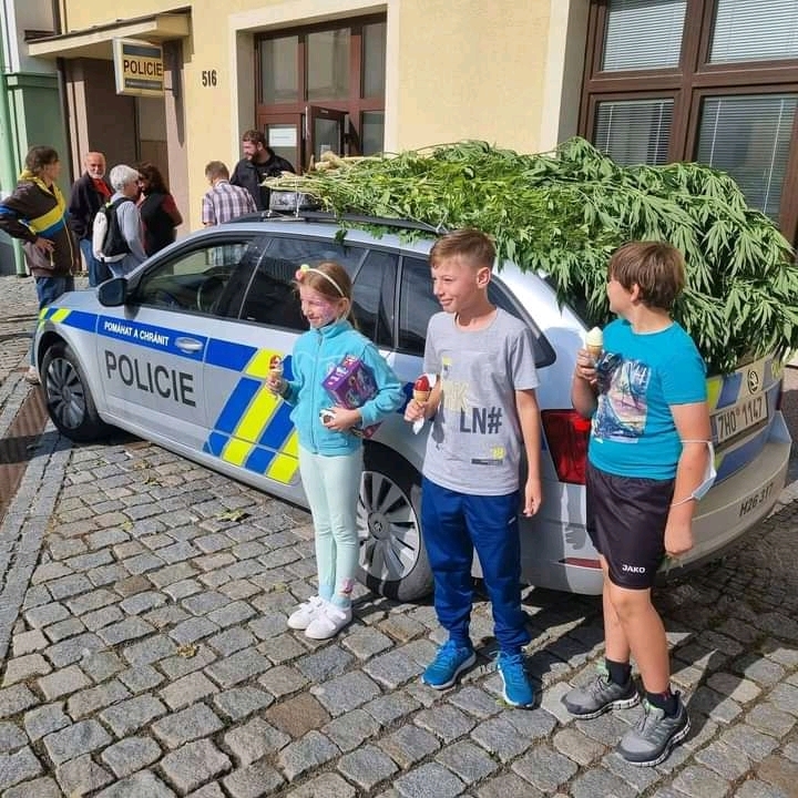 When you're a cop but love to smoke - Czech, Police, Hemp, Drugs, Longpost