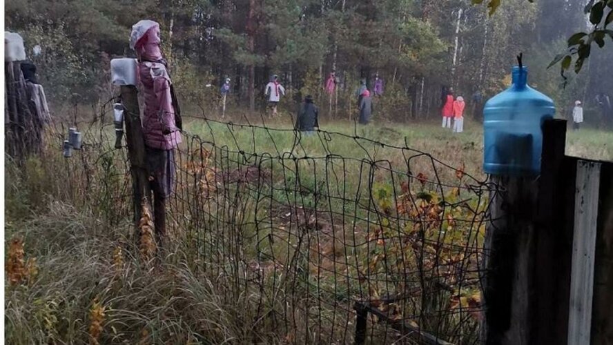 Mushroom pickers stumbled upon a field with creepy human-sized dolls. Explanation... - Puppets, Field, Arzamas, Security, Kripota, Video, Longpost