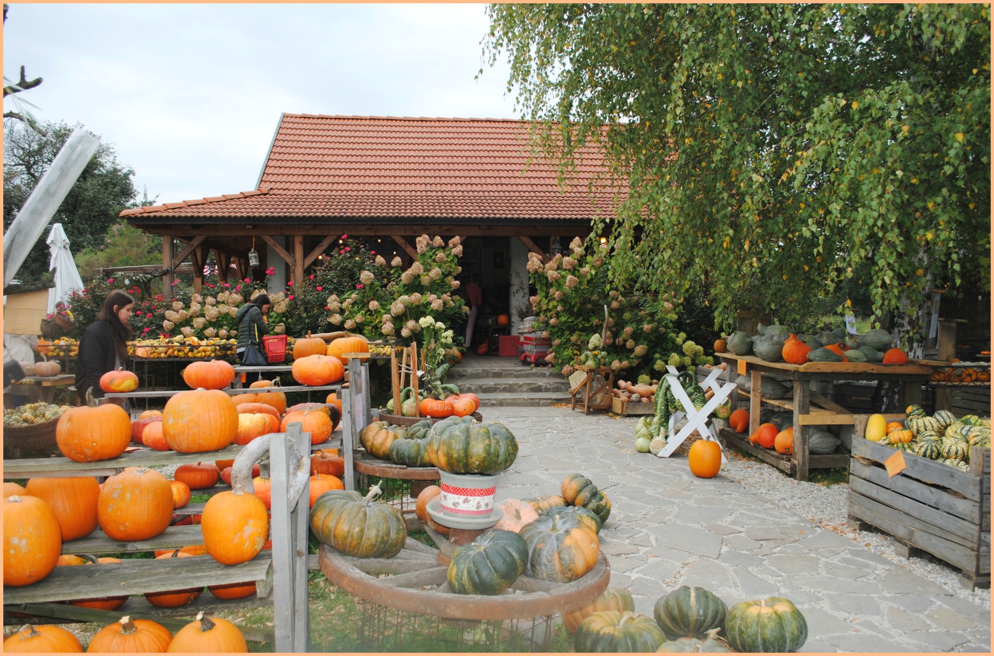 My pumpkin tourism in Austria - My, Pumpkin, Tourism, A restaurant, Farm, Austria, Unusual, Autumn, Tavern, , Brewery, Ranch, Longpost