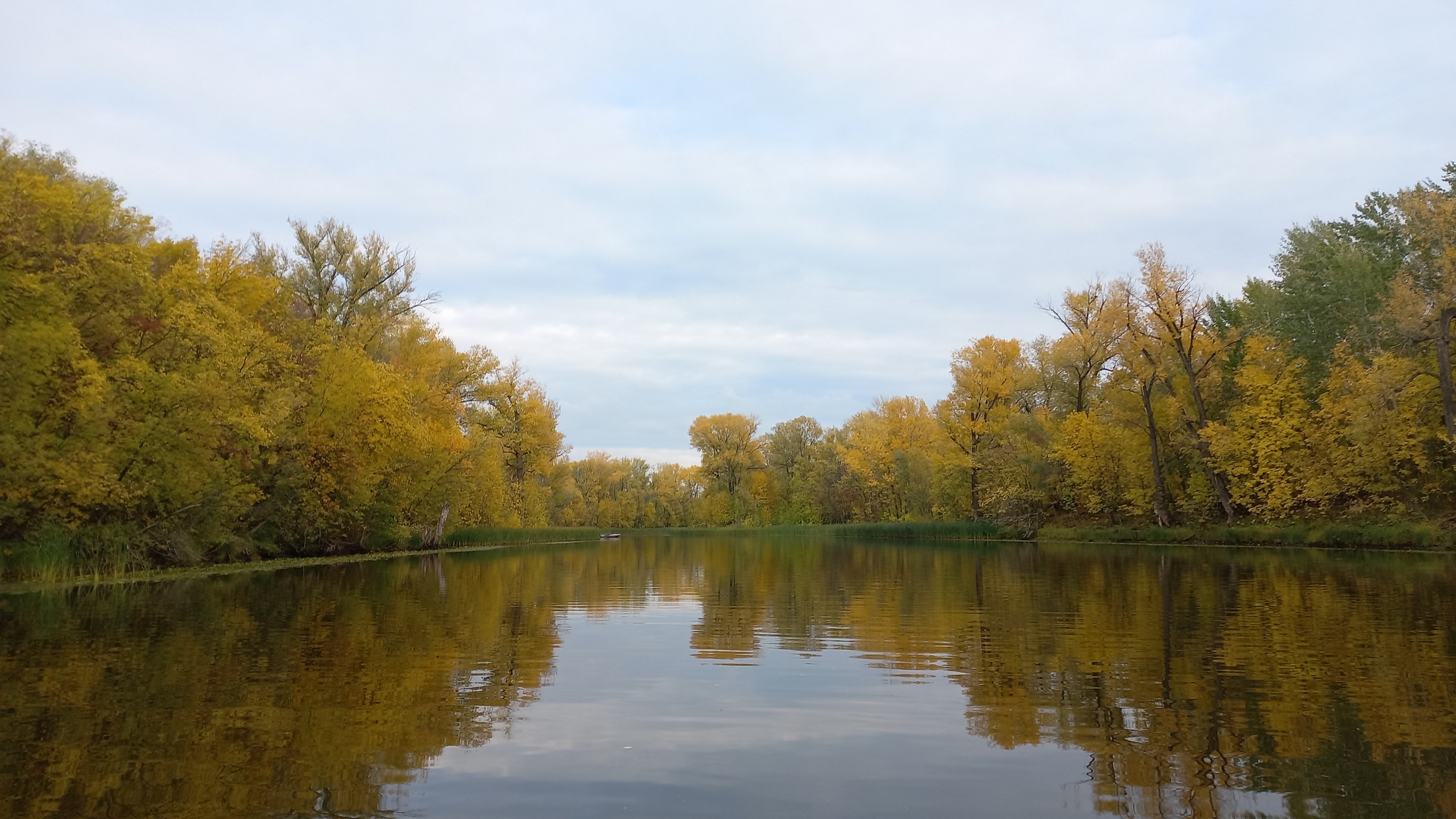Autumn! - My, Nature, Water, Volga river