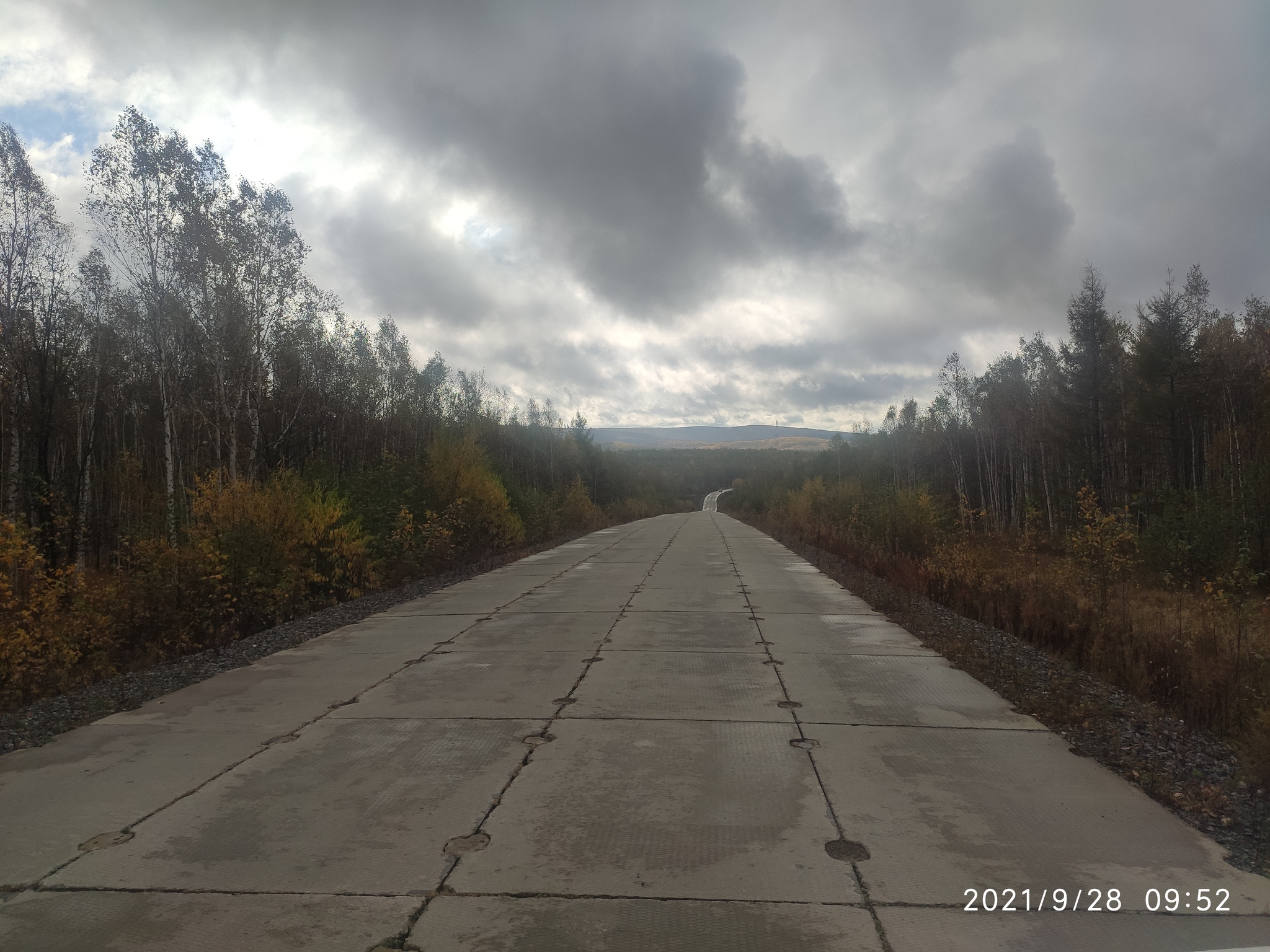 Khabarovsk region - My, Forest, Business trip, Taiga, Longpost