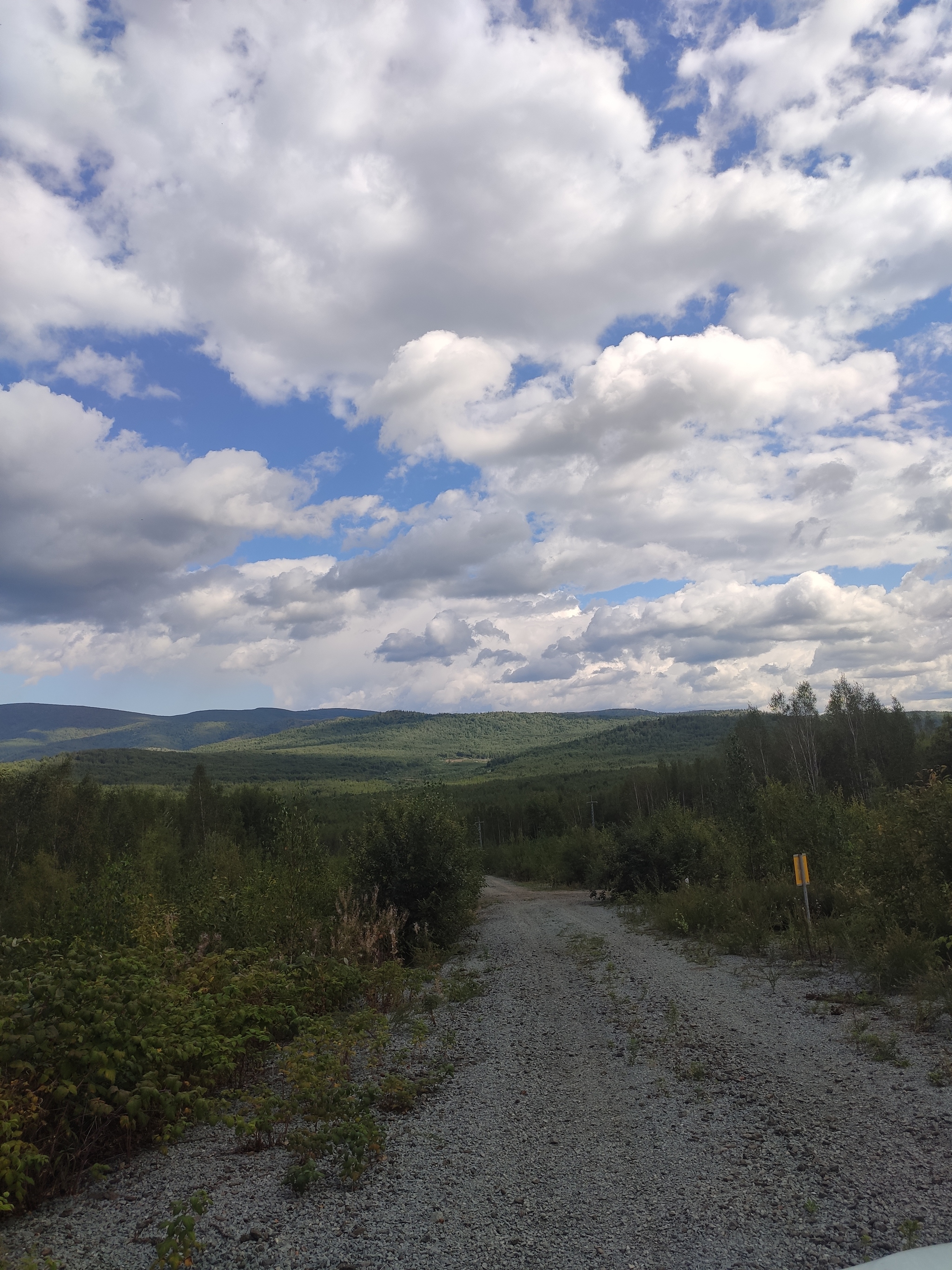 Khabarovsk region - My, Forest, Business trip, Taiga, Longpost