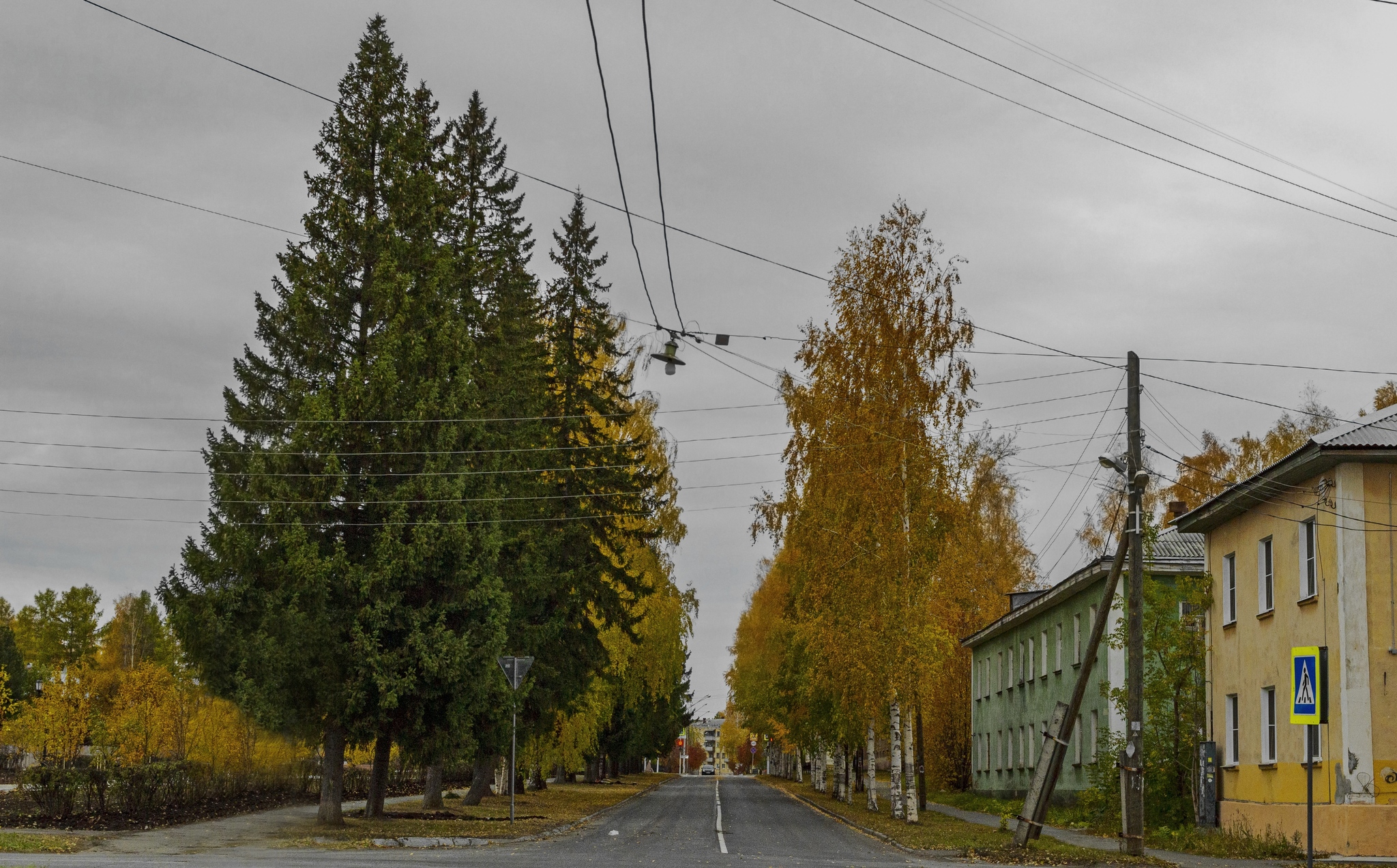 Gloomy Sunday - My, Russia, Ural, Middle Ural, Town, Autumn, Tree, Architecture