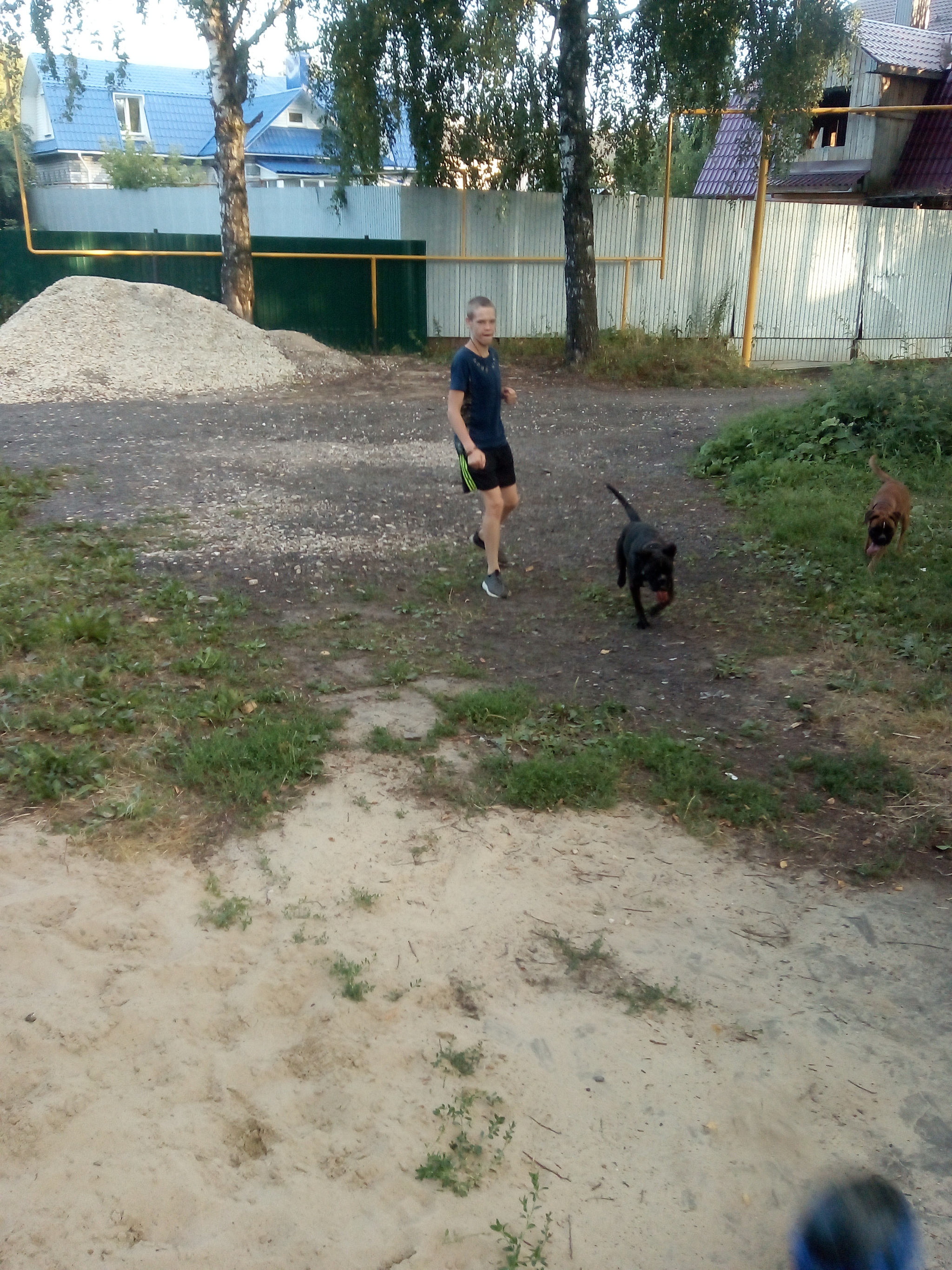 Football unites - My, Dog, German boxer, Longpost, Children