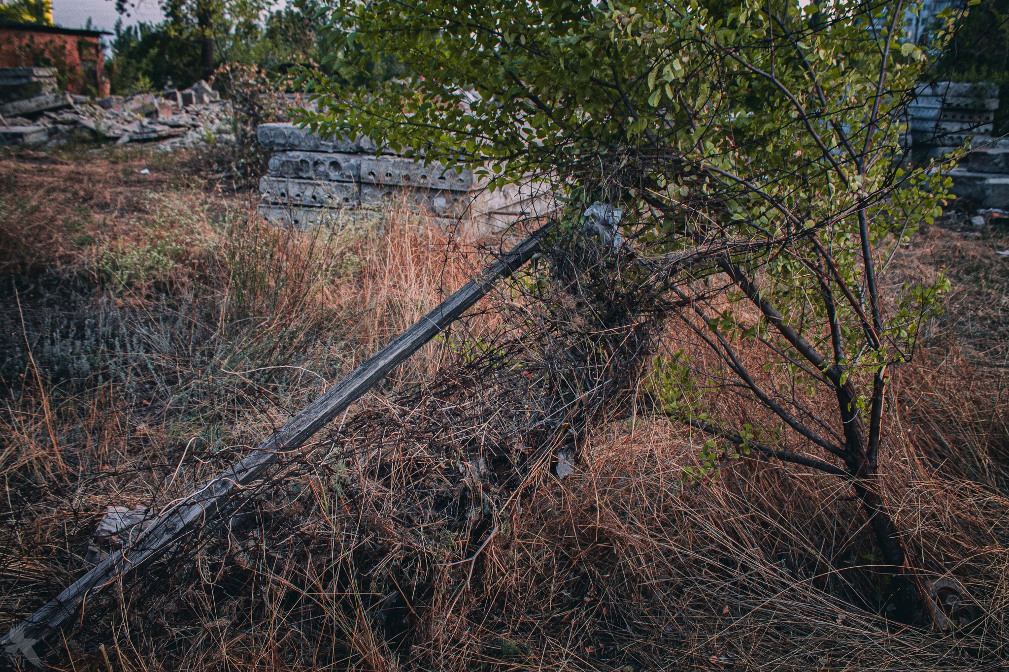 Disbanded military unit 96480 Voronezh - My, Voronezh, Voronezh region, Abandoned, Urban3pru, Urbanfact, Video, Longpost